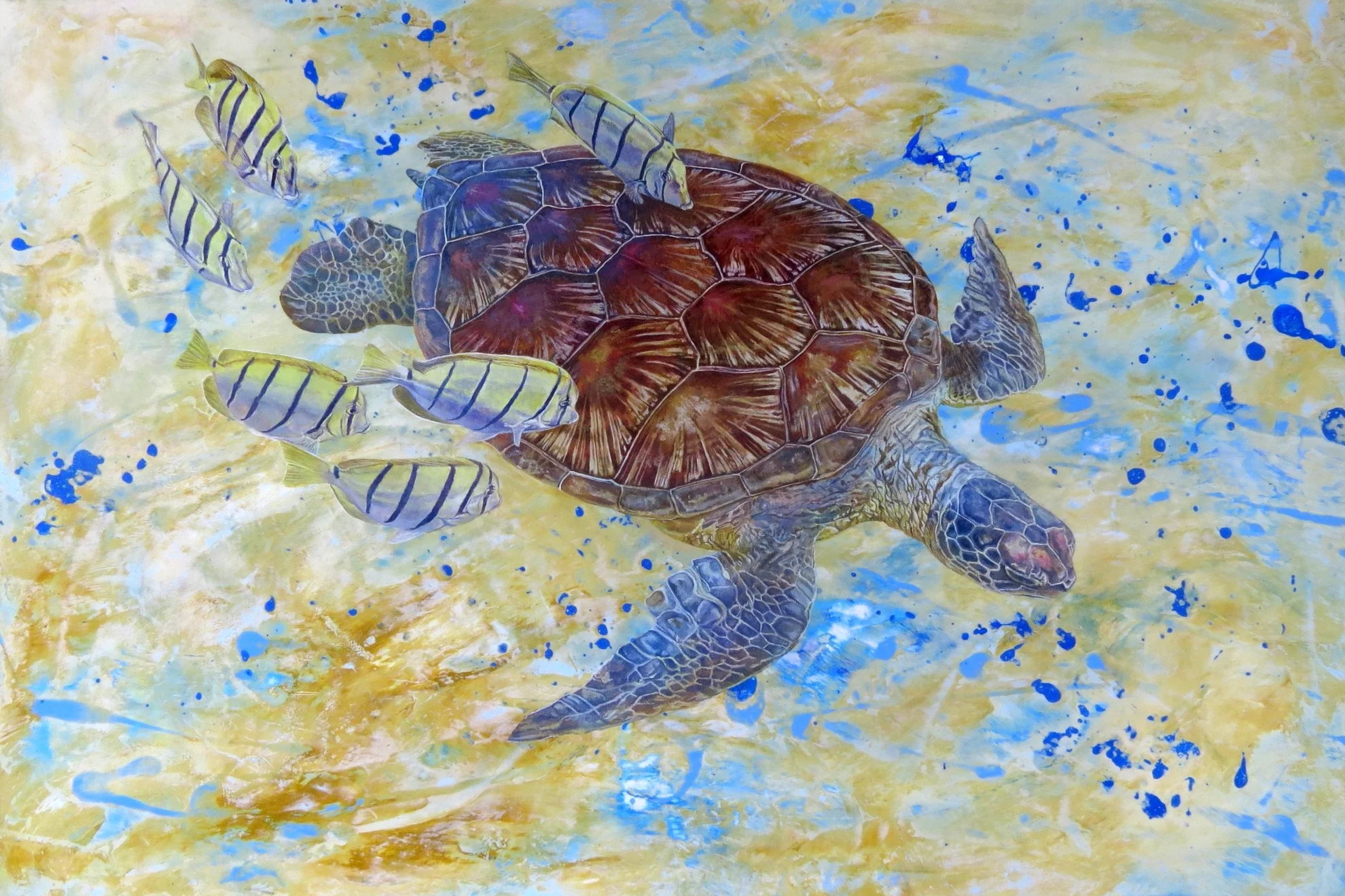 Honu
24"x36"
$2,400