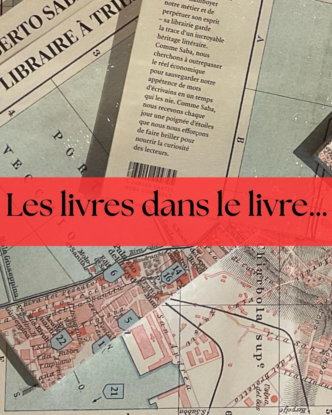 "Entrer par cette porte en apparence &eacute;troite de la librairie Saba, c&rsquo;est d&eacute;voiler l&rsquo;histoire de Trieste et en faire la digne messag&egrave;re de la cause des libraires d&rsquo;aujourd&rsquo;hui. C&rsquo;est d&eacute;chi