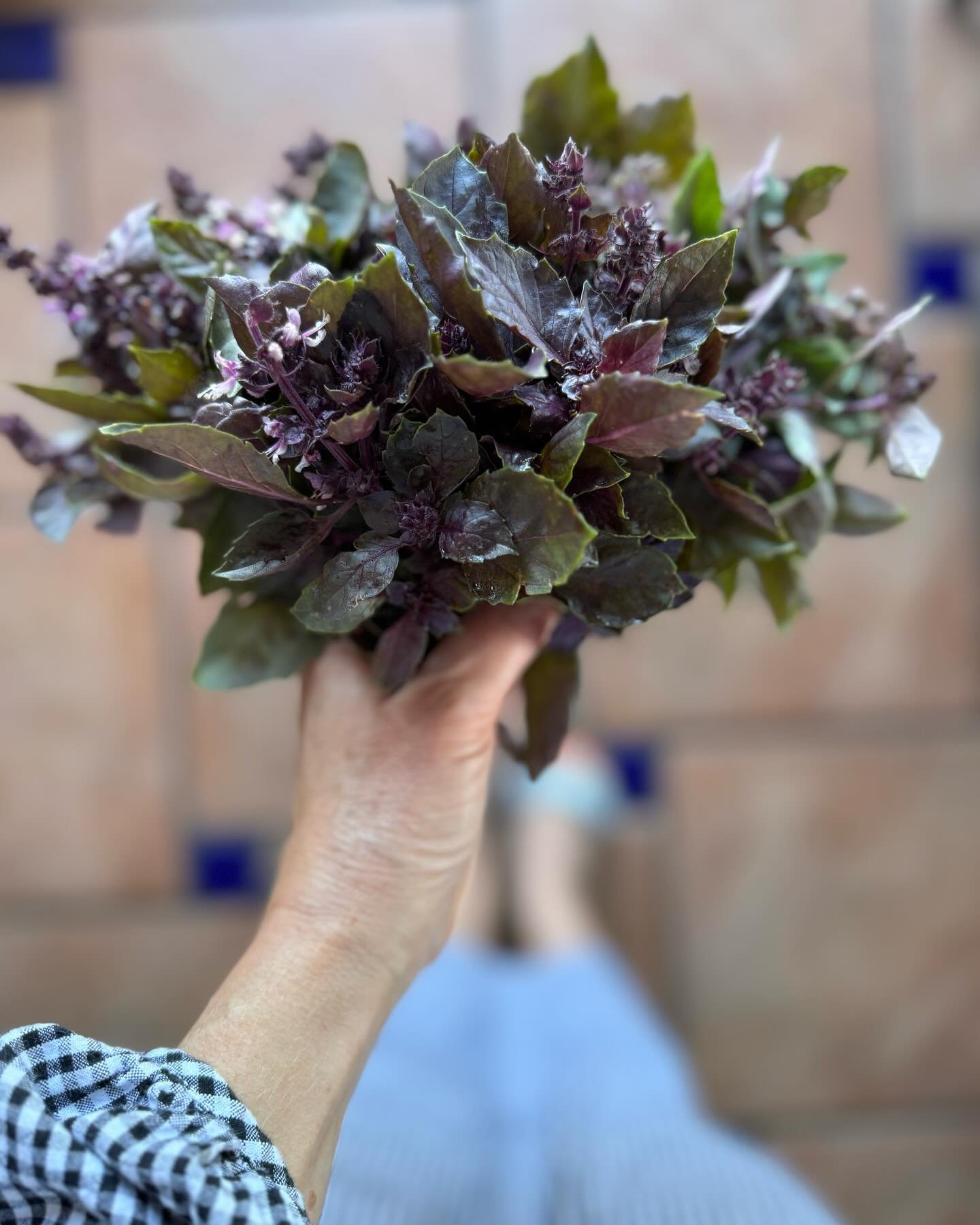 ISLAND produce @calypsogrillcayman we are passionate about sourcing ingredients that are grown here on island 💛🌴

Patrick a local farmer is supplying us with the most beautiful ingredients grown in his kitchen garden 🪴 

Purple basil | lemongrass 