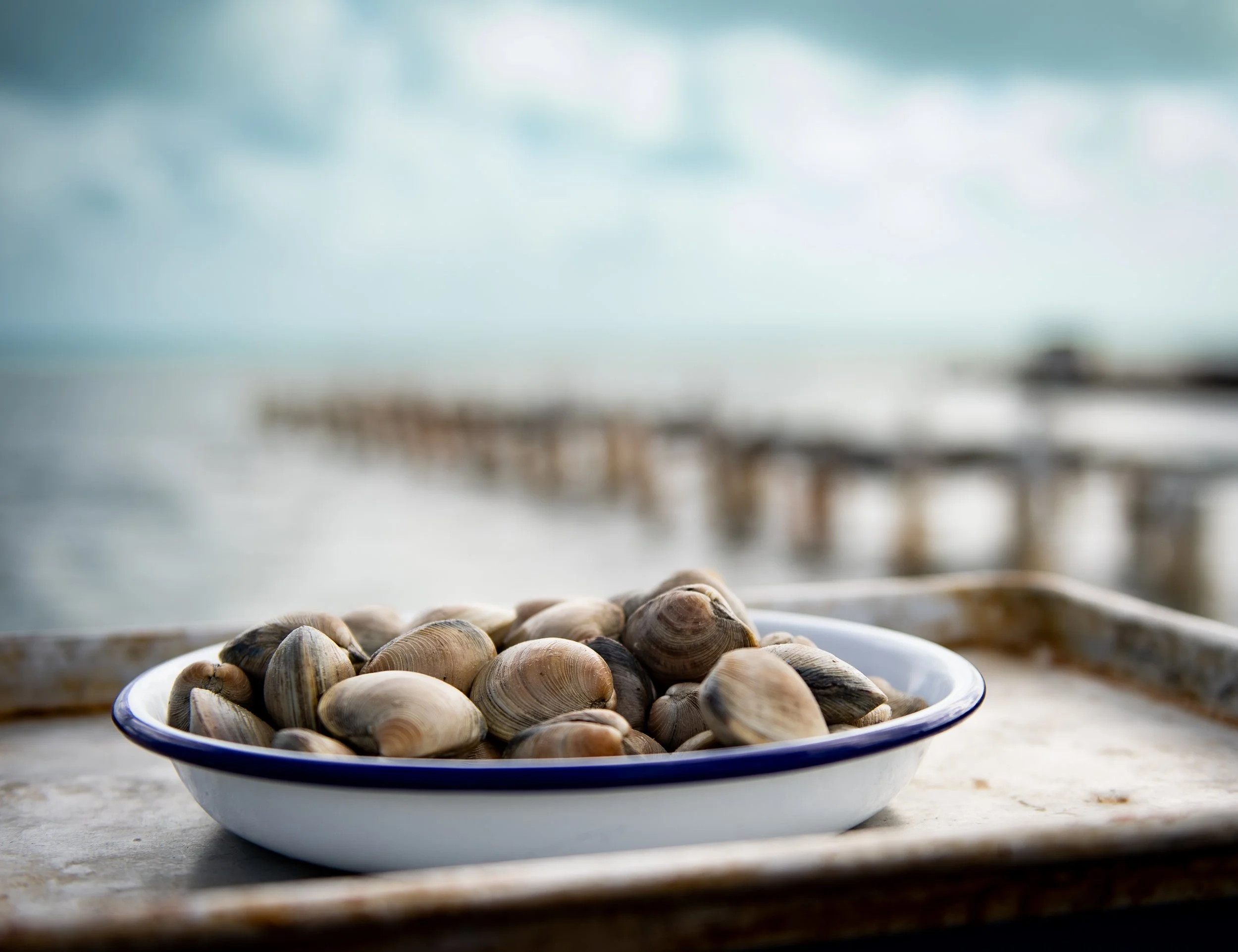 A dish of clams on a tray near a blurred ocean dock, with cloudy skies overhead.