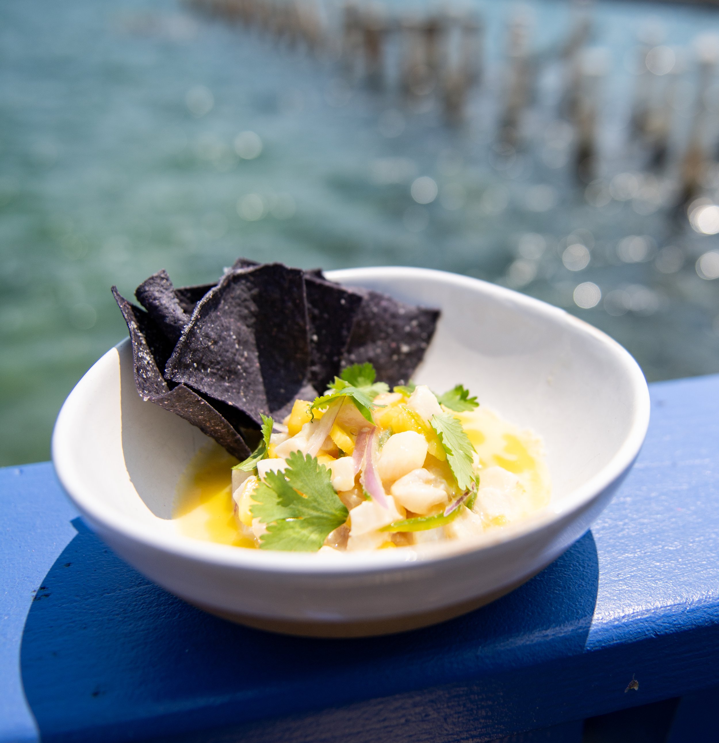 A bowl of seafood ceviche garnished with cilantro and served with black tortilla chips against a blurred waterfront background.