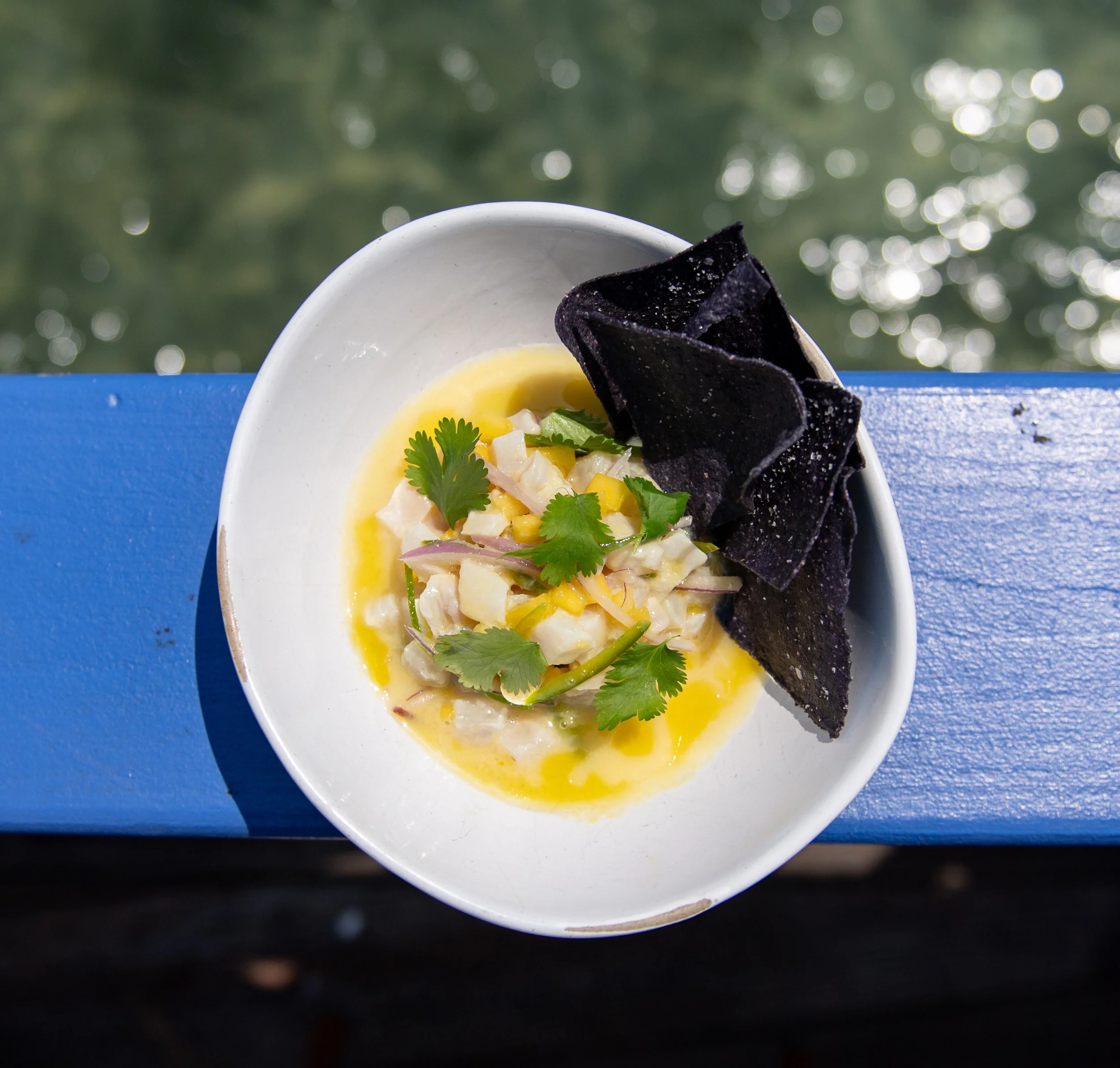 A small white bowl contains a seafood ceviche garnished with cilantro, served with black tortilla chips on the side, placed on a blue wooden surface with water in the background.
