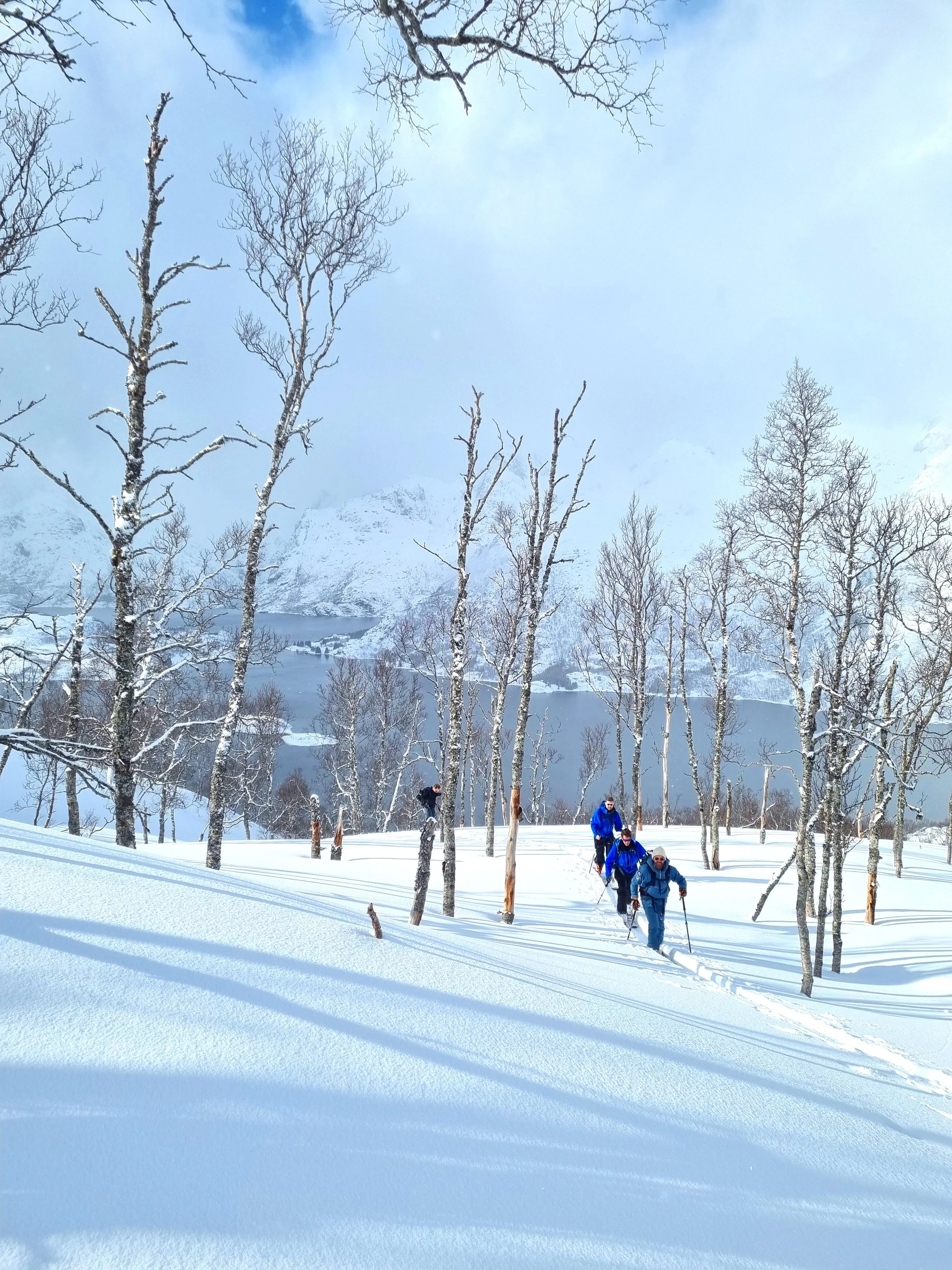 intro avalanche course.jpg