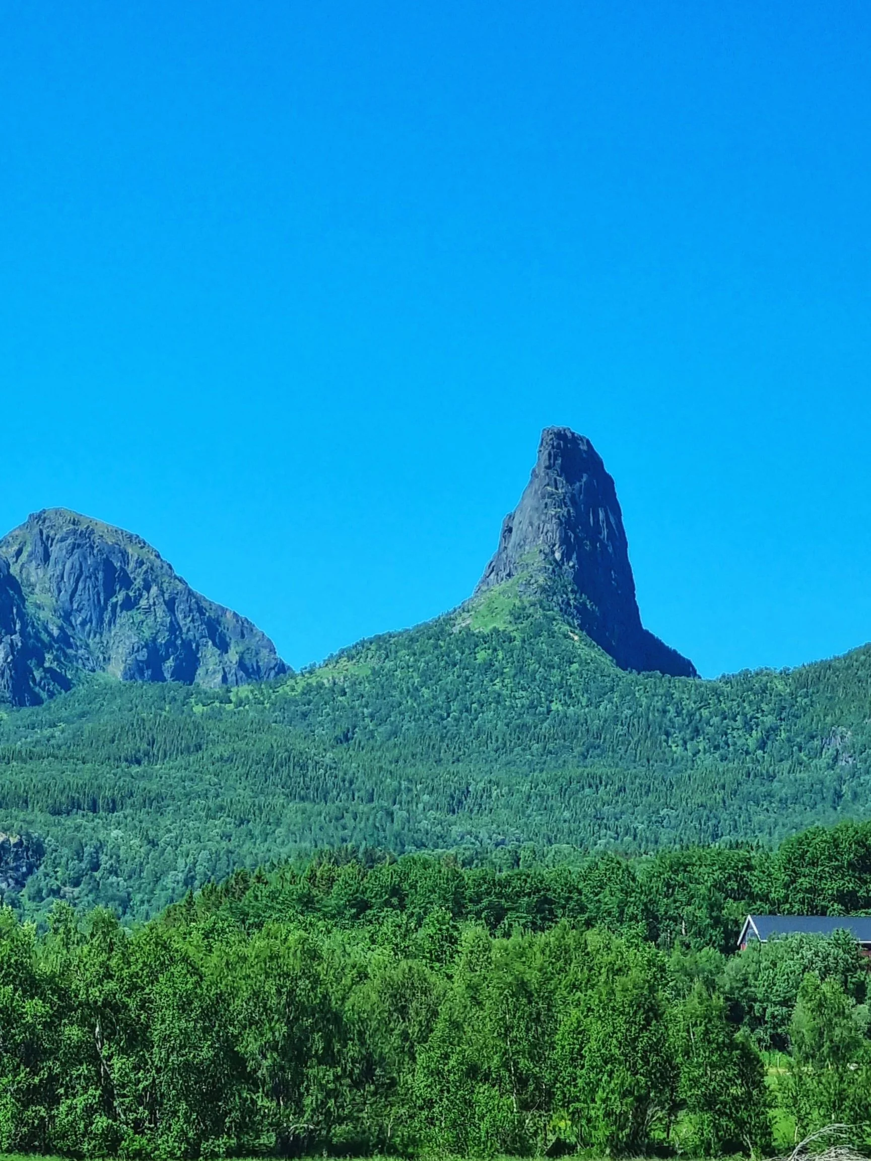 Climb Hammarøyskaftet.jpg