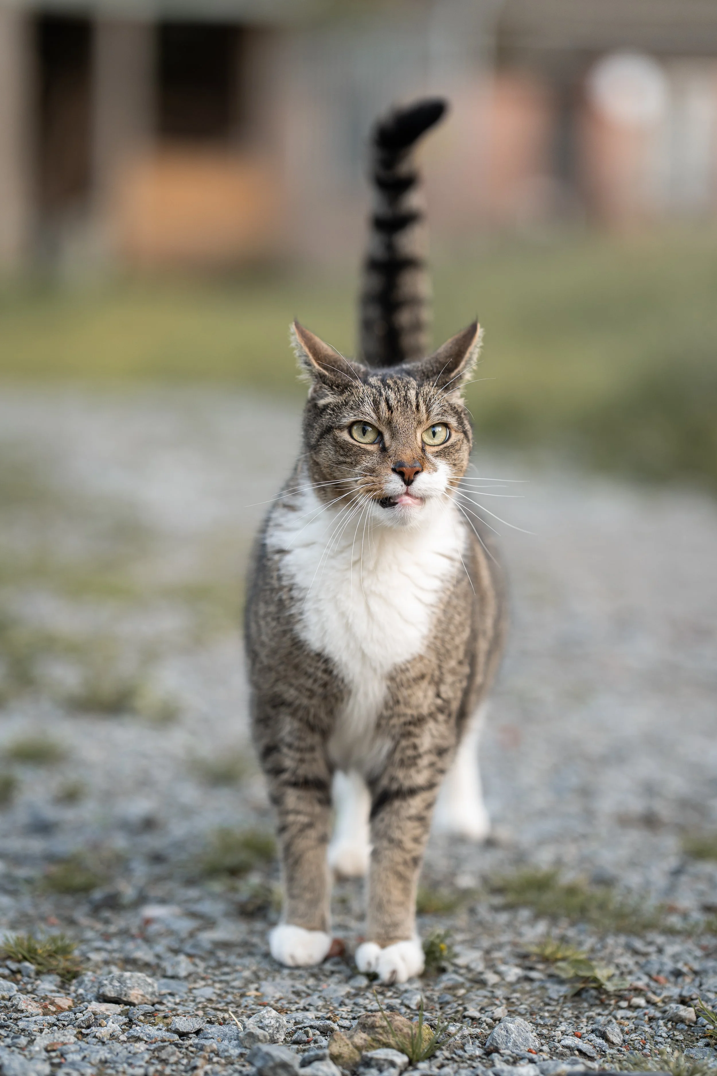 _DSC5741neu27.jpg