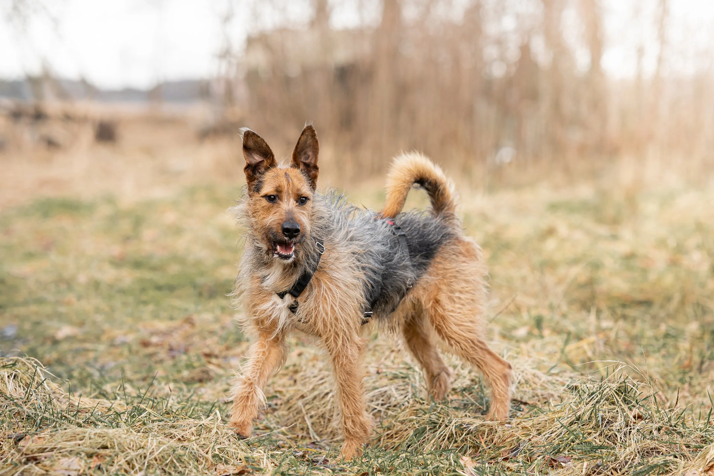 _DSC1153neu8.jpg