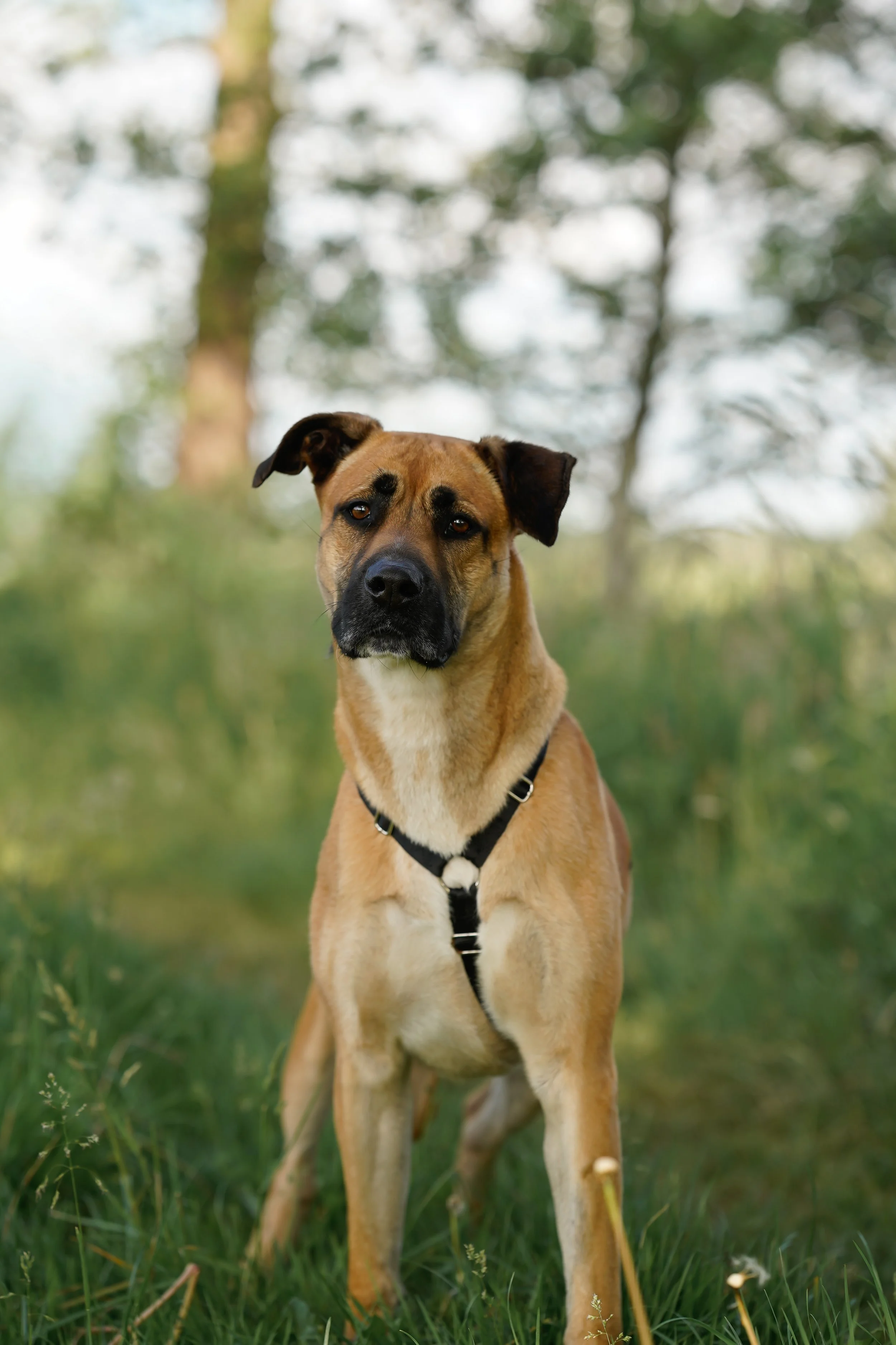 _DSC0867neu4.jpg