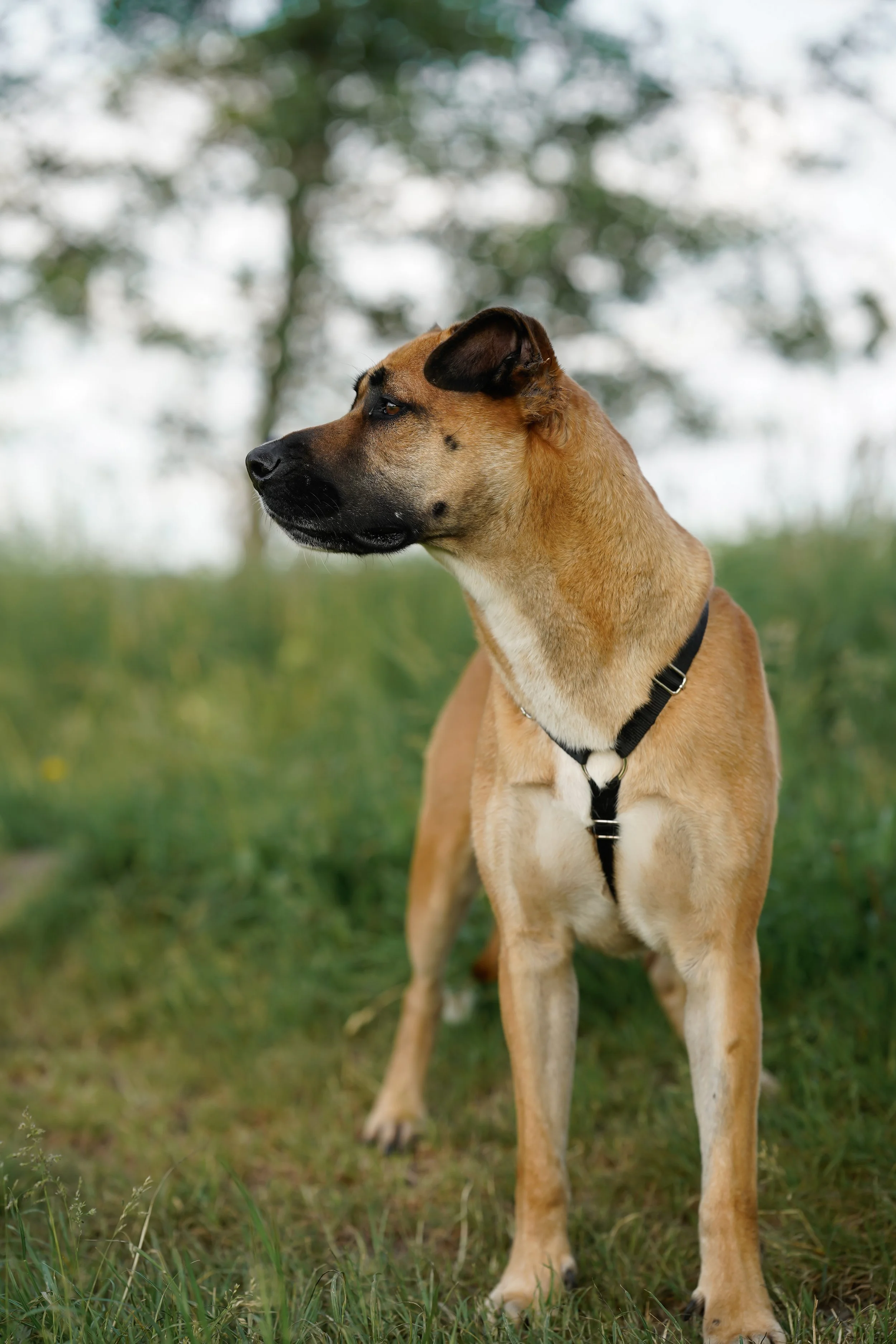_DSC0881neu9.jpg