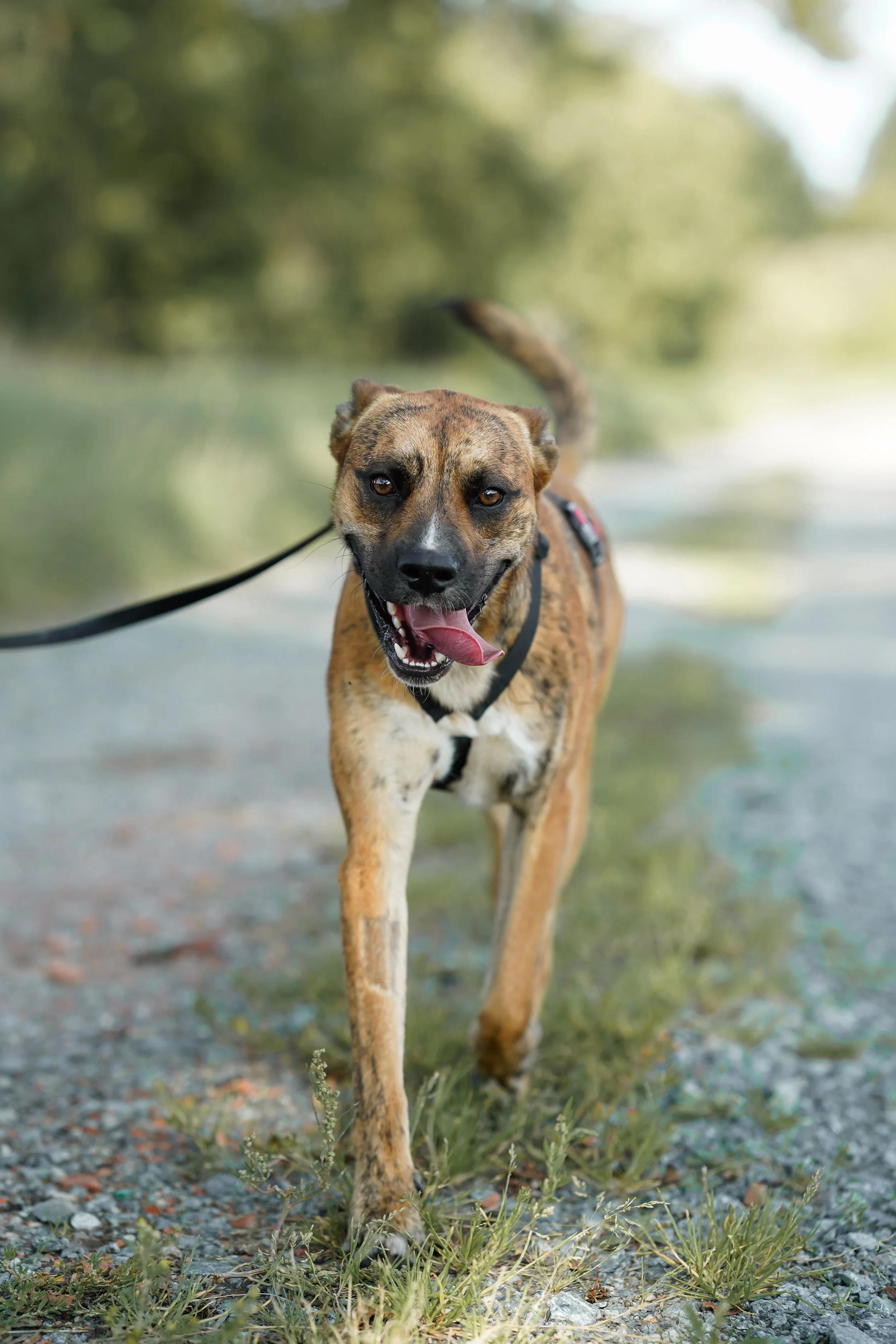 Max (3).jpg