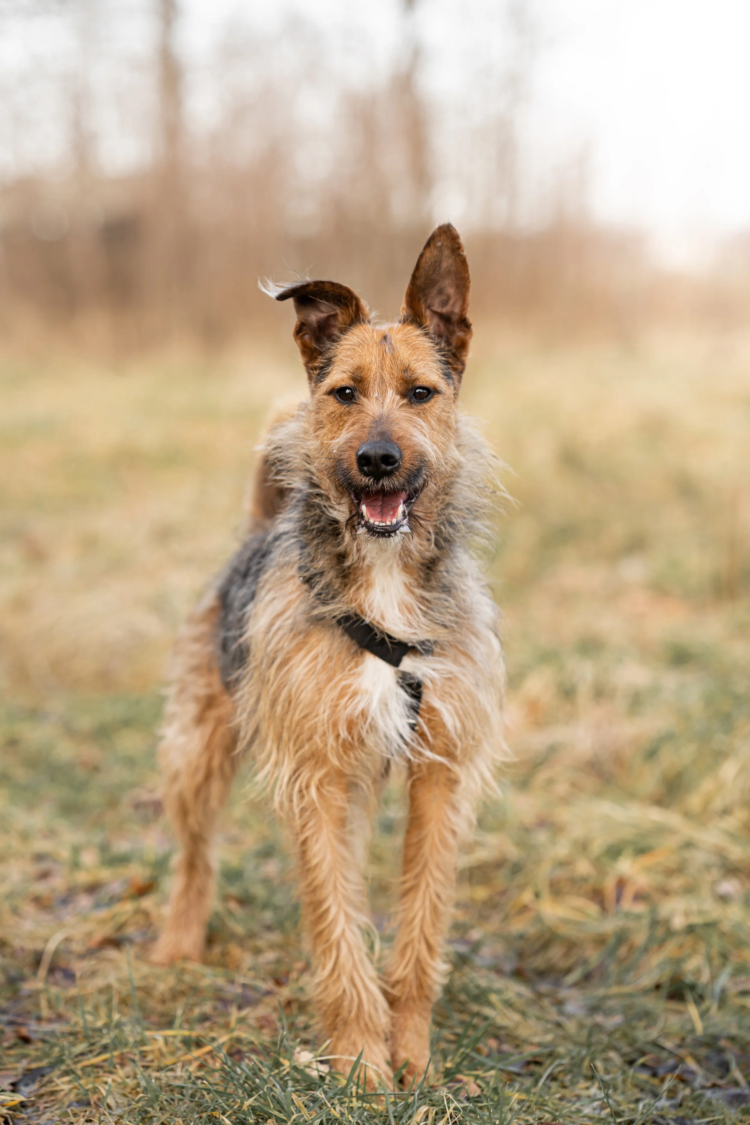 _DSC1164neu9.jpg