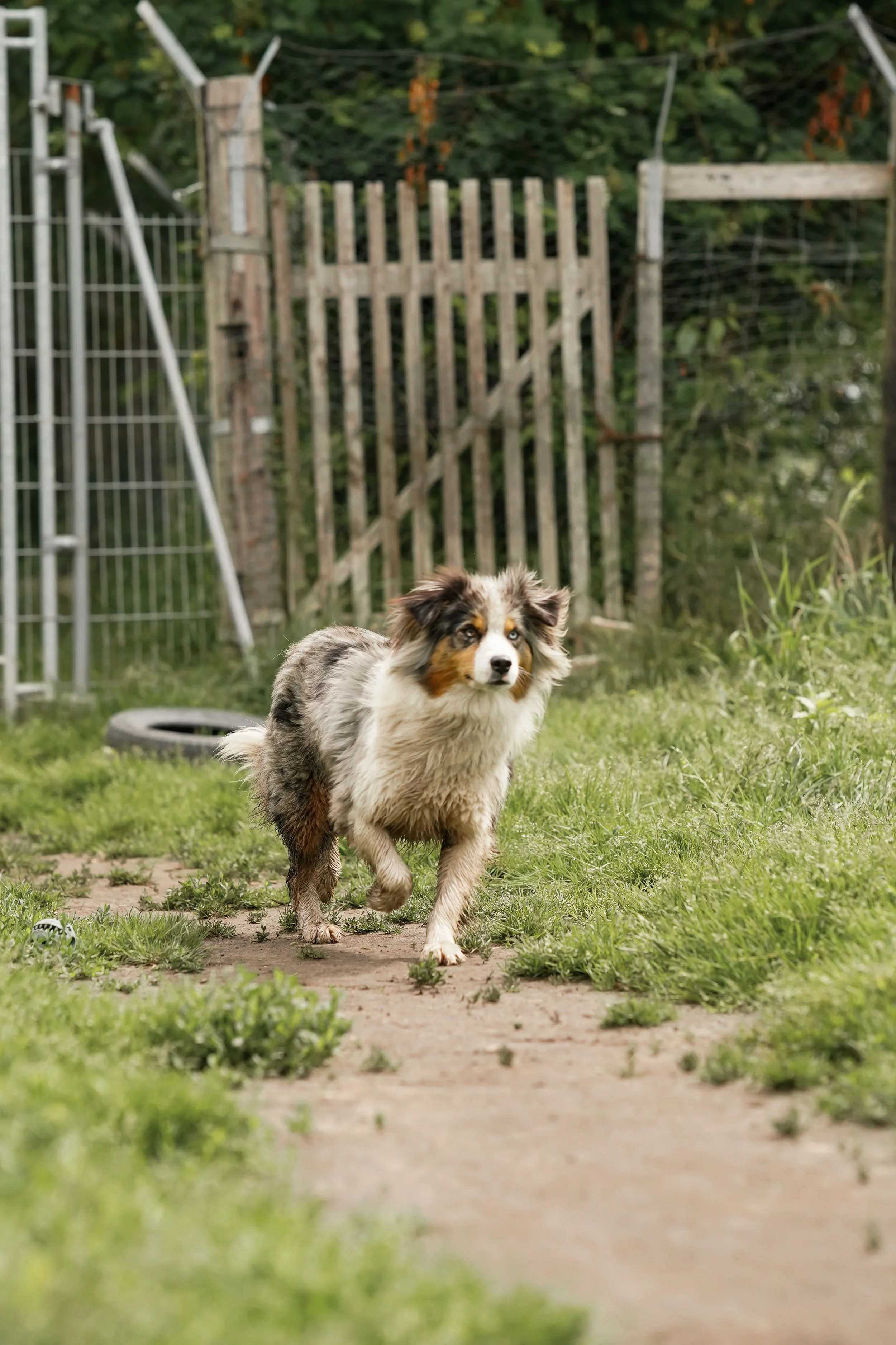 _DSC1629neu32.jpg