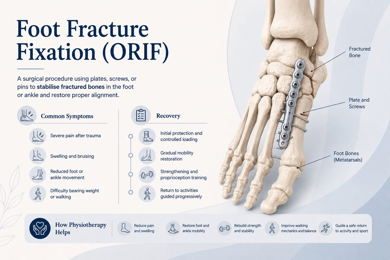 Foot Fracture Fixation (ORIF).png