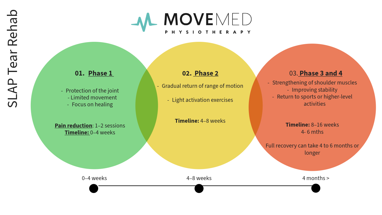 SLAP Tear Rehab Timeline