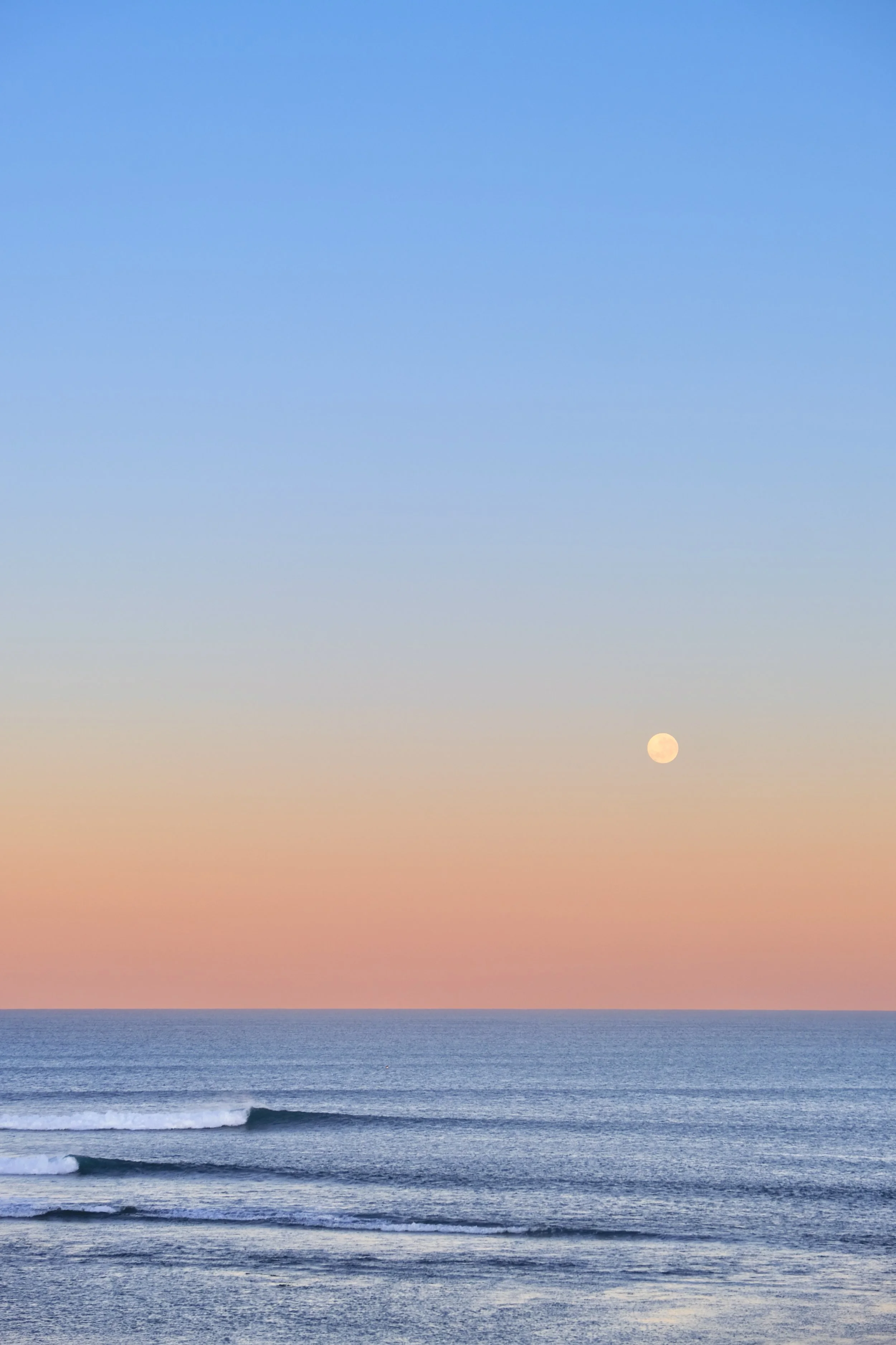 DSCF2231.jpg