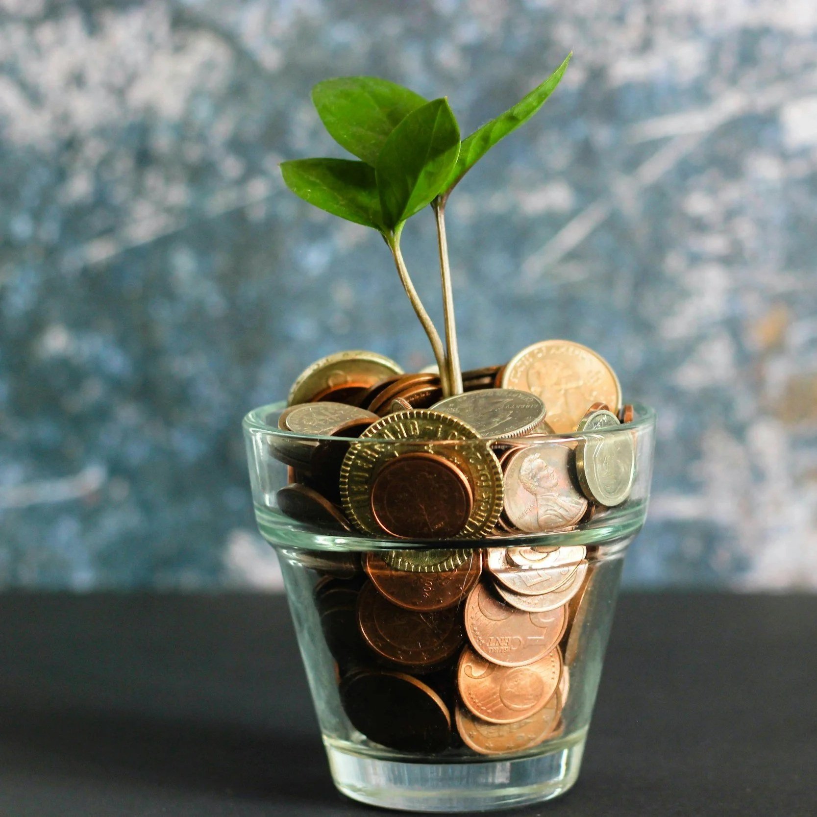 Et glas fyldt med mønter, hvor en lille grøn plante vokser op mellem pengene.