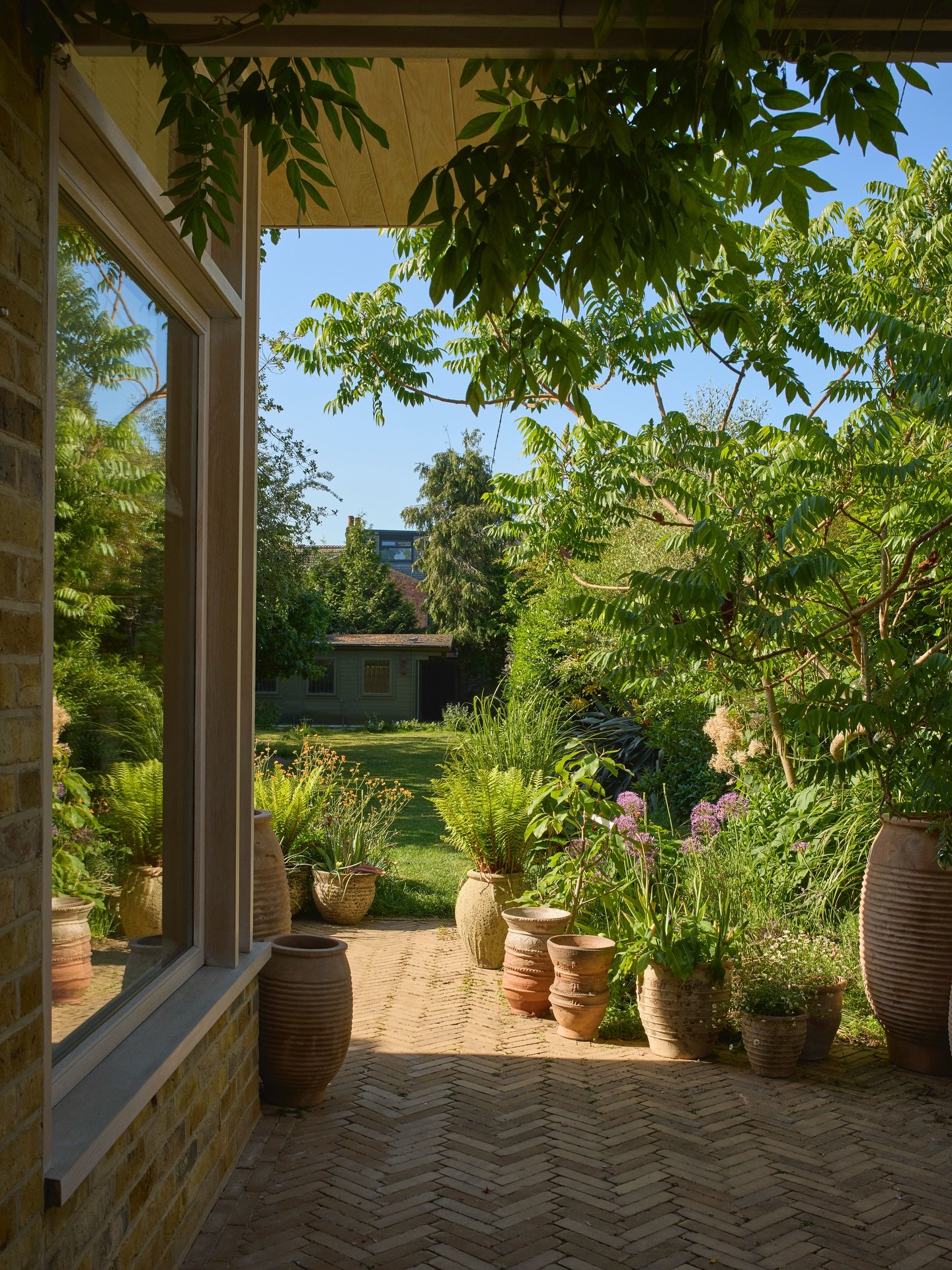 Garden views, midsummer.

	1.	Pots pots pots &mdash; a pretty solution while we figure out the longer-term plan for the wider garden.
	2.	Geums, ferns, and alliums gone a bit wild. Wisteria starting to weave its way around the house &mdash; and the p