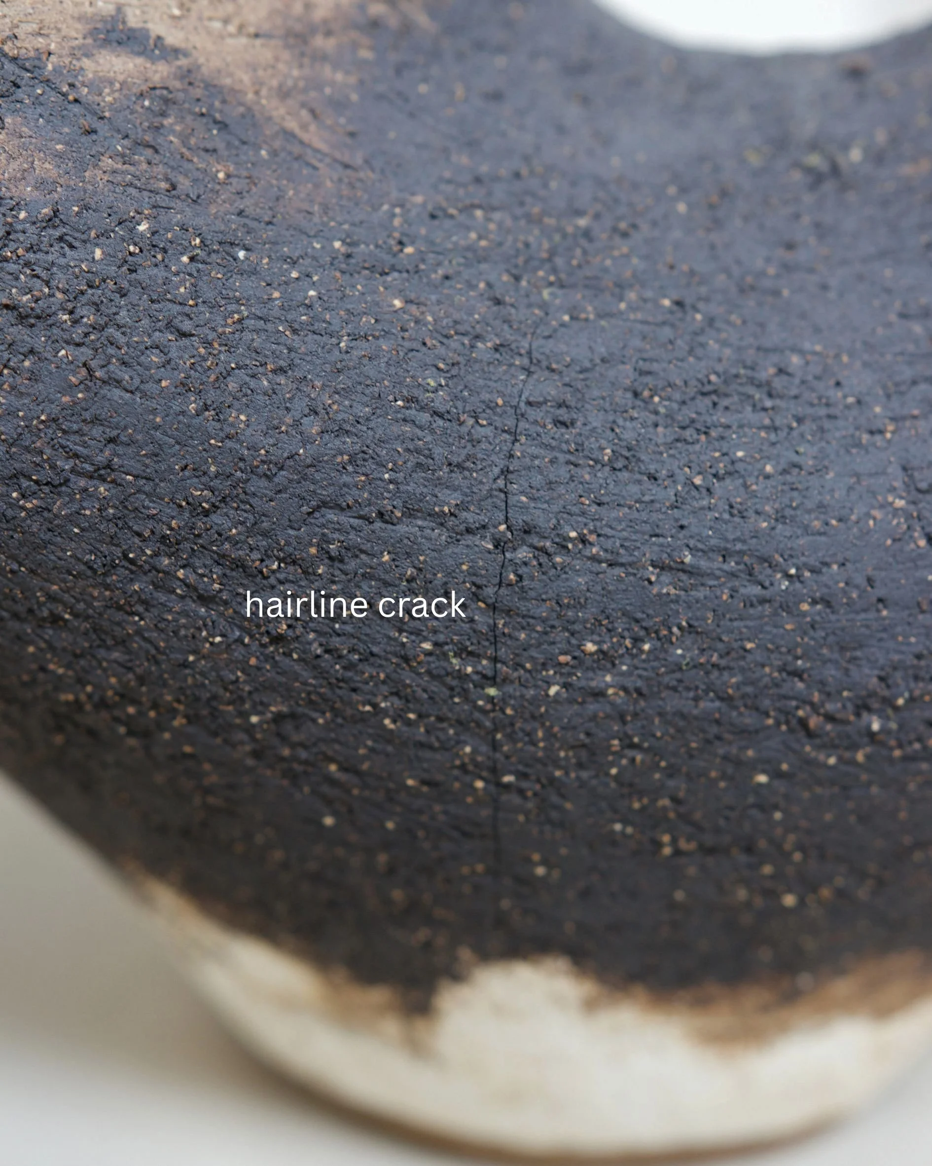 House of Logan_Ayse Vessels_shotbyTaylor Davies-King9.jpg