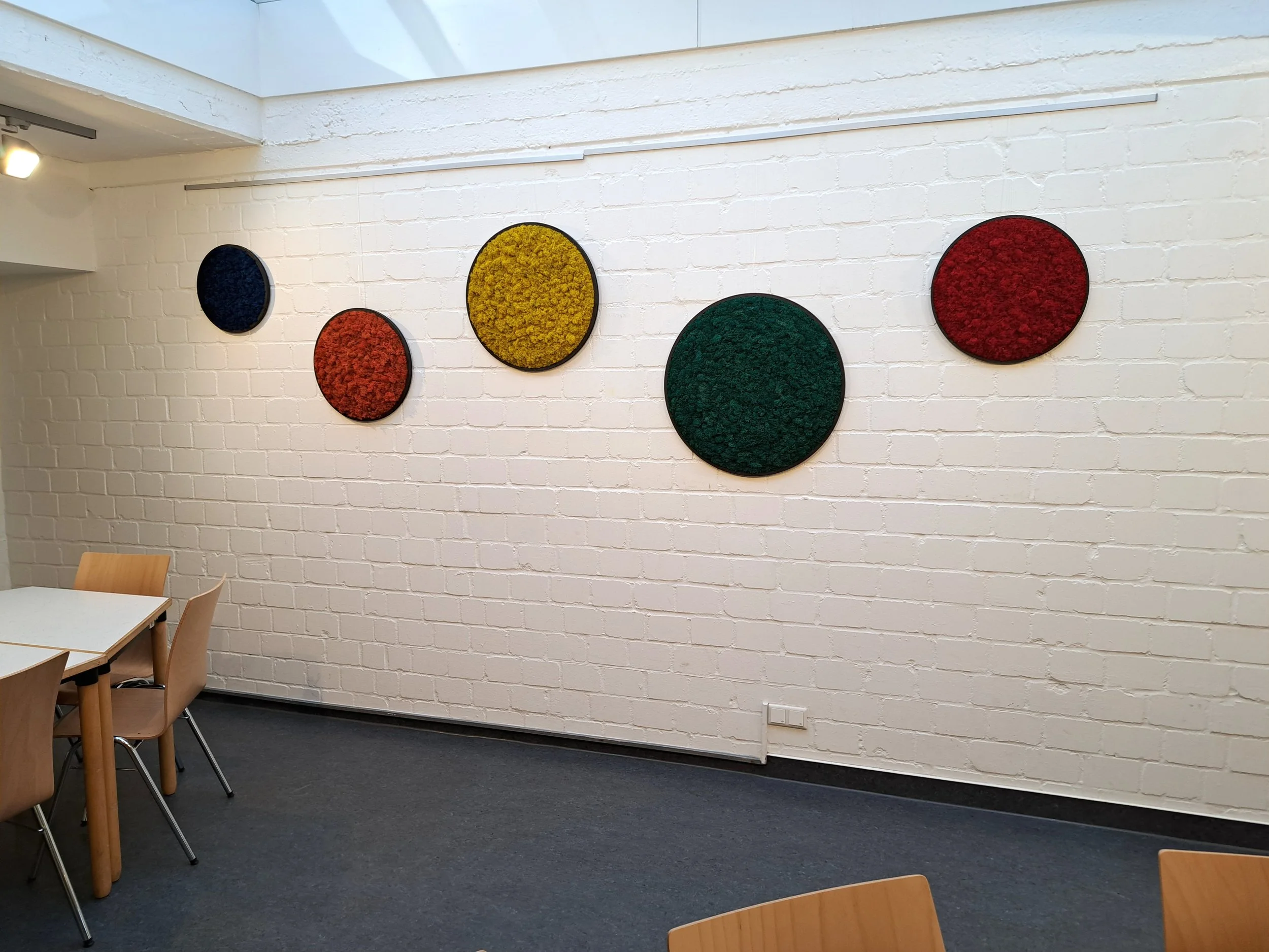 "Moosbild rund & bunt,  modern"