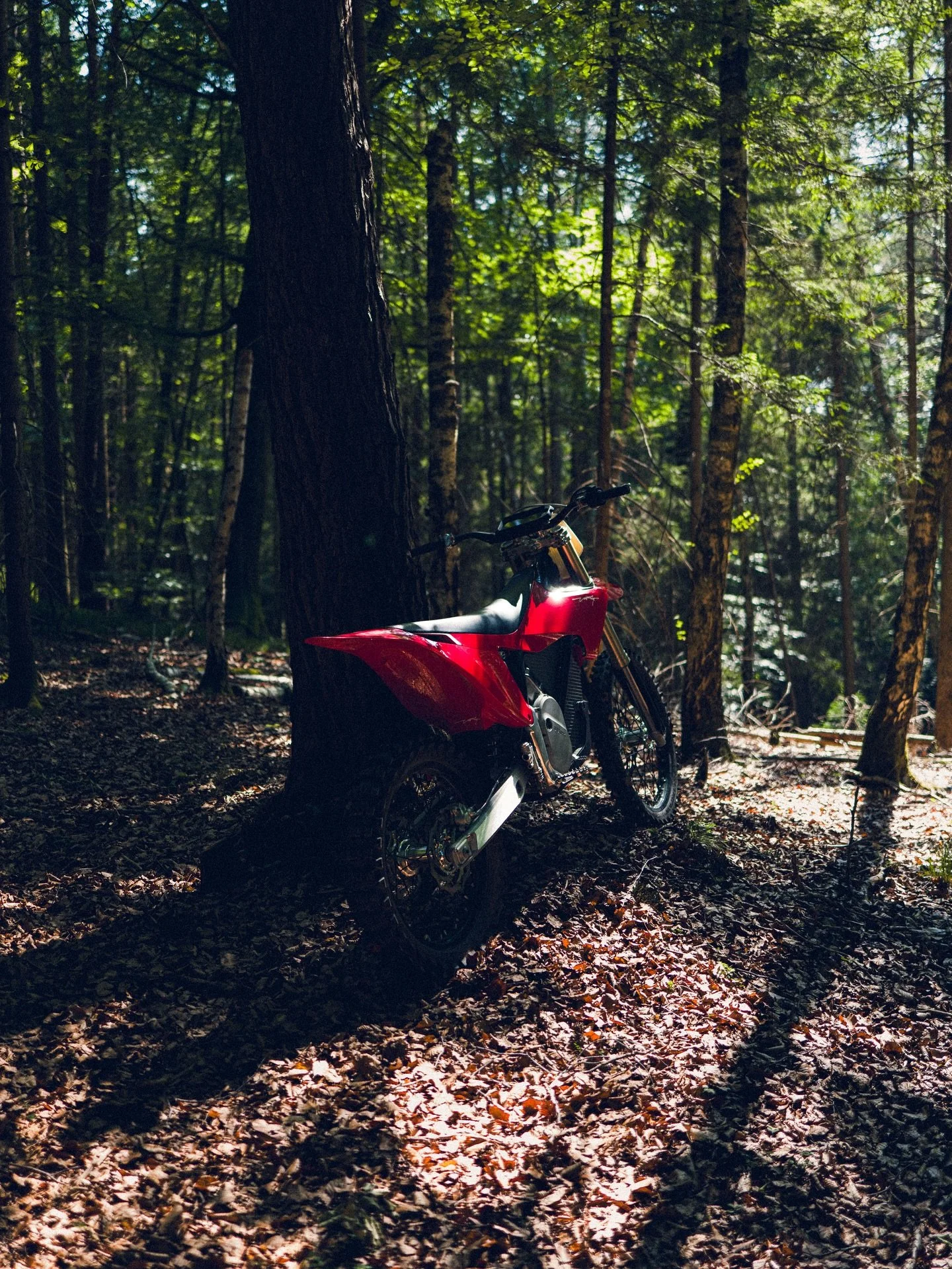 In the woods with the Stark Varg 🤘🏽

#Stark #StarkVarg #MX #Motocross #Enduro #Leica