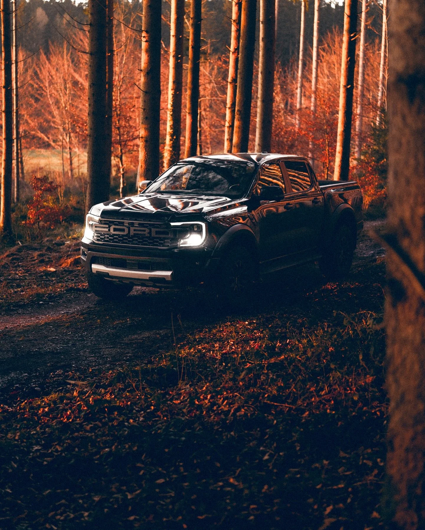 When the trees glow golden. 

#RangerRaptor #Ford #Raptor