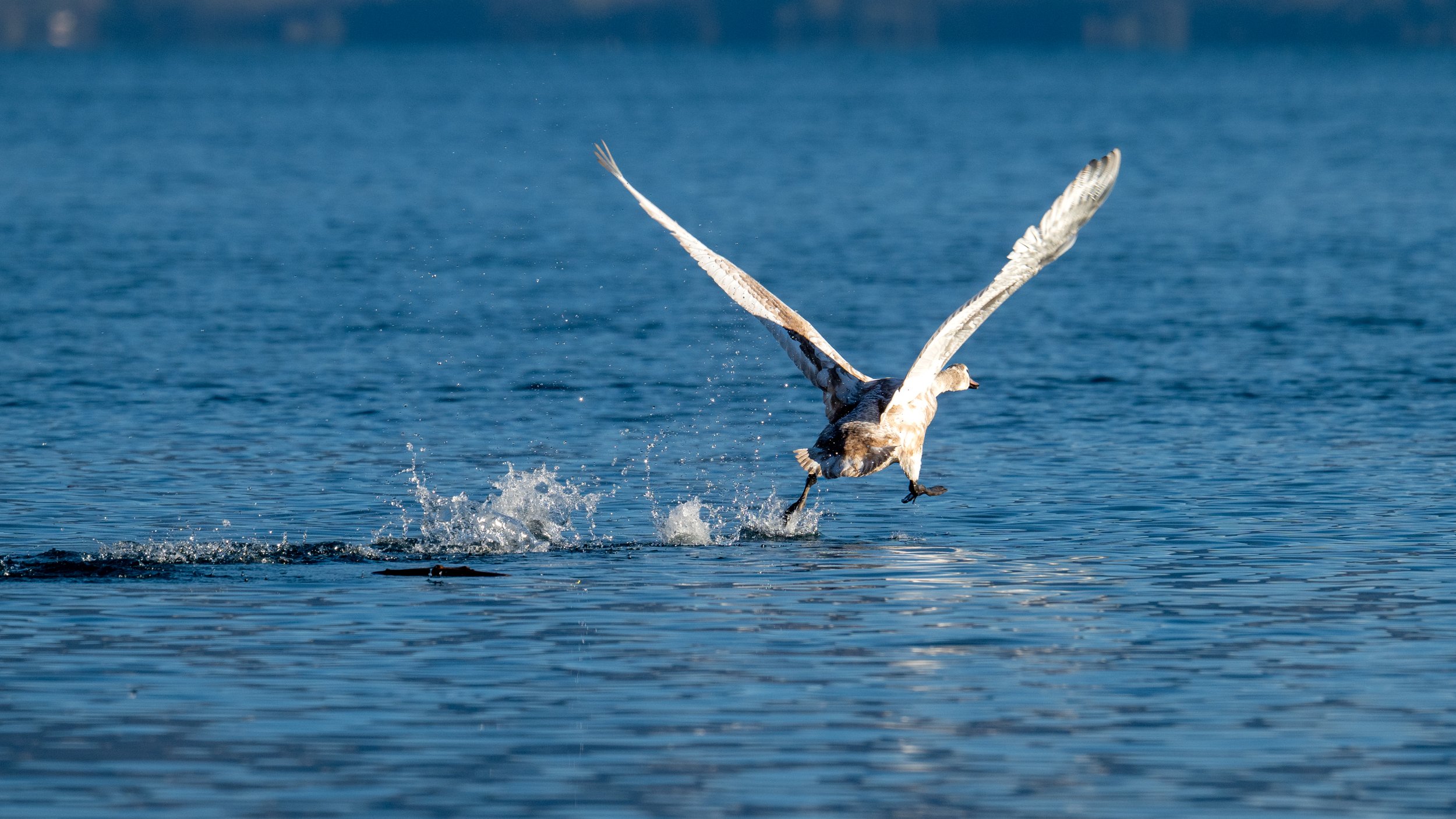 Possible, pas possible ... 