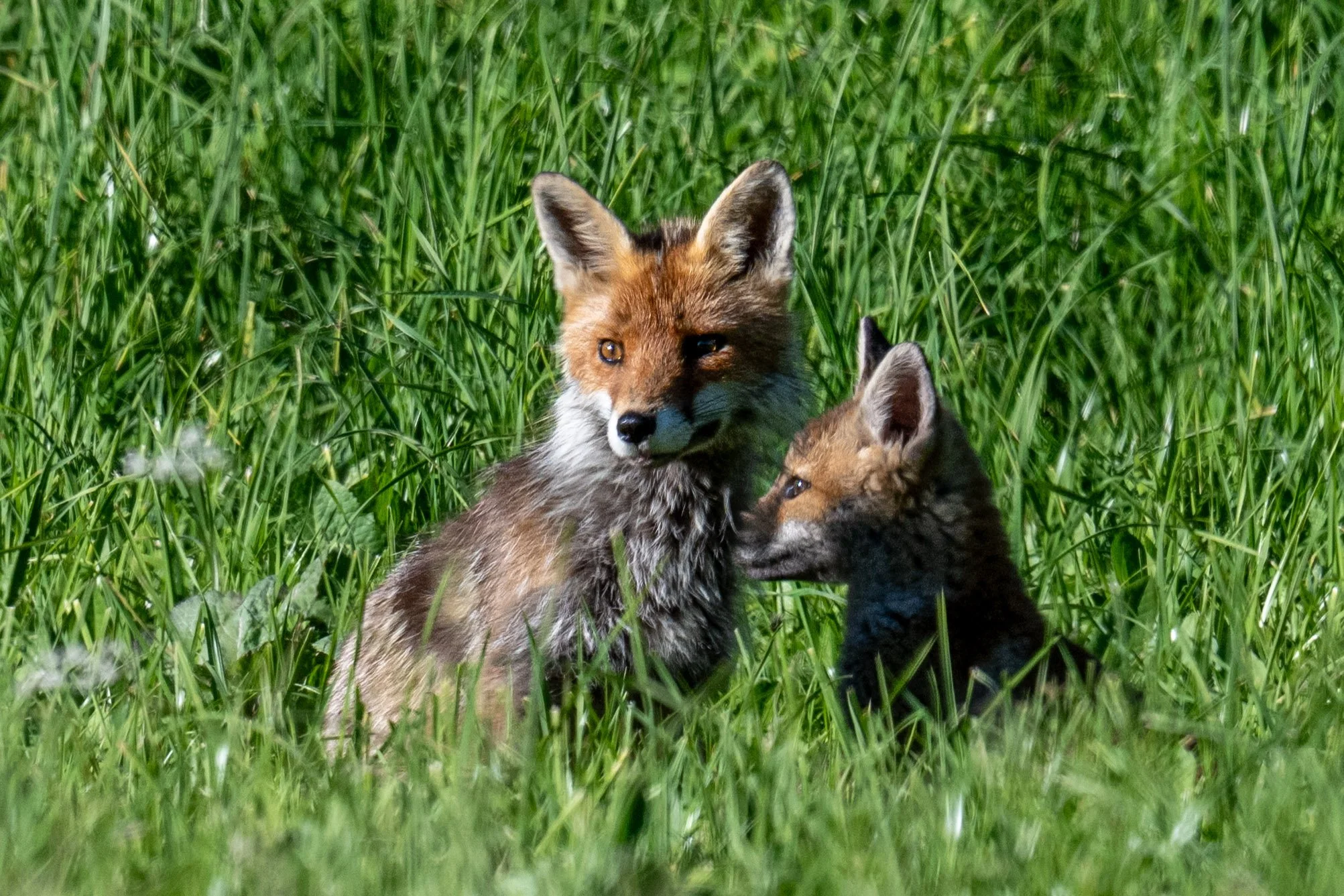 Scène de tendresse entre un jeune et un adulte