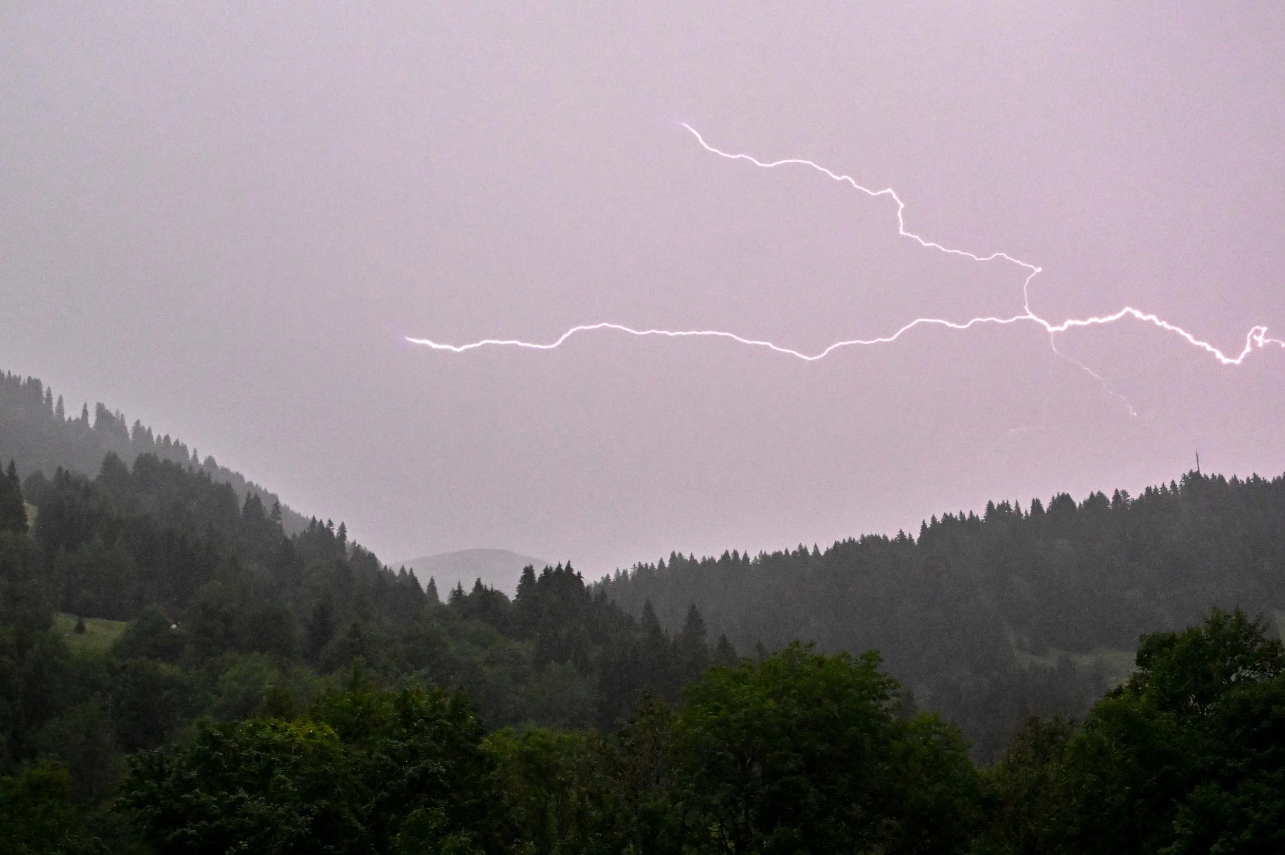 L'été, la saison des orages avec sa pluie bienvenue pour la faune, la flore et tout le vivant !