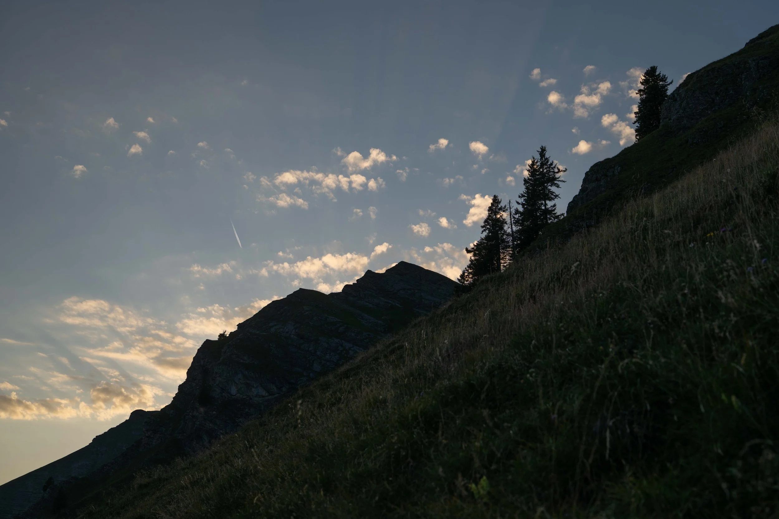 A la nuit tombante, le spectacle que nous offre la nature est... éblouissant !