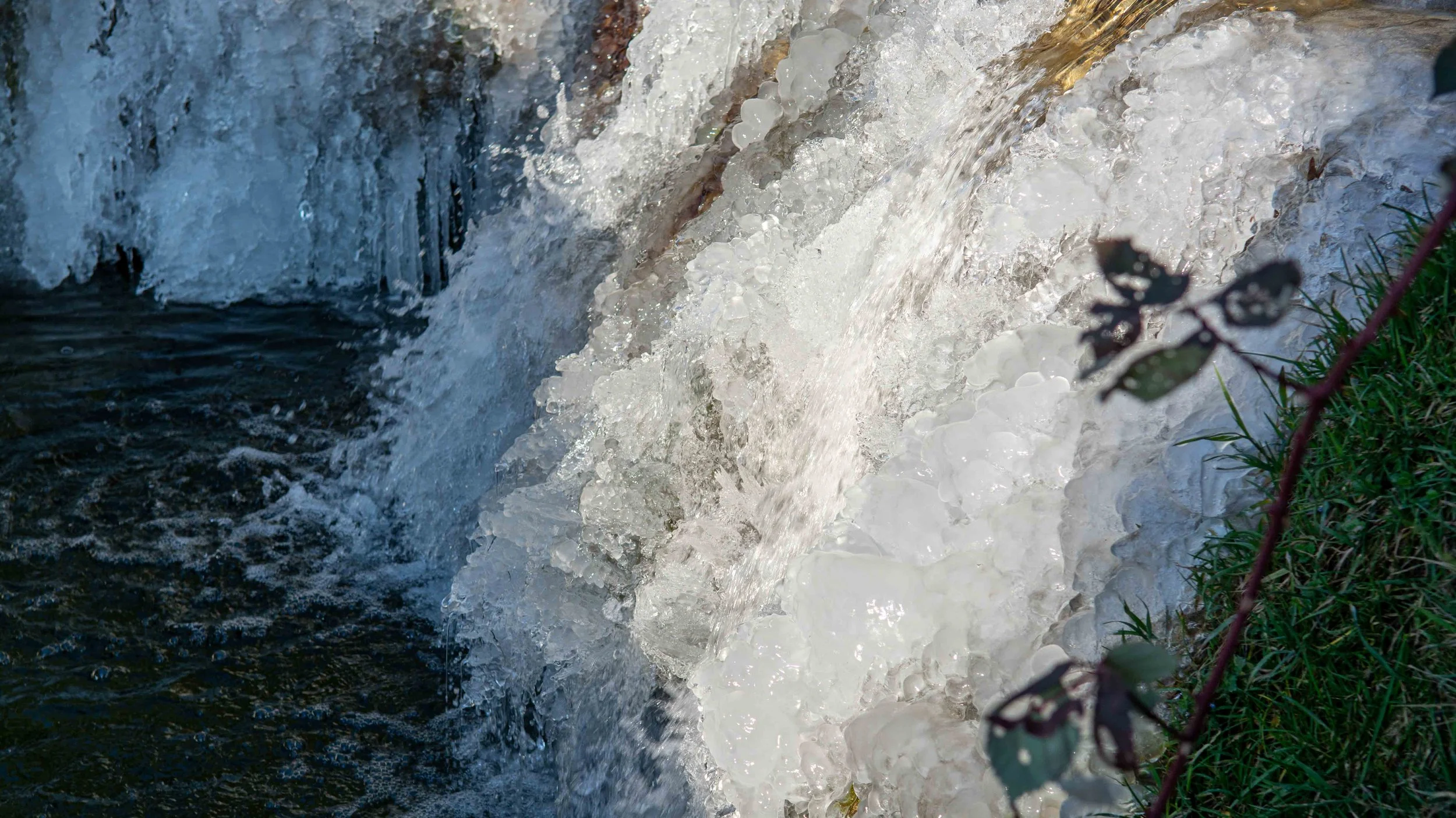 Cascade gelée avec eau glacée, branchages en premier plan.