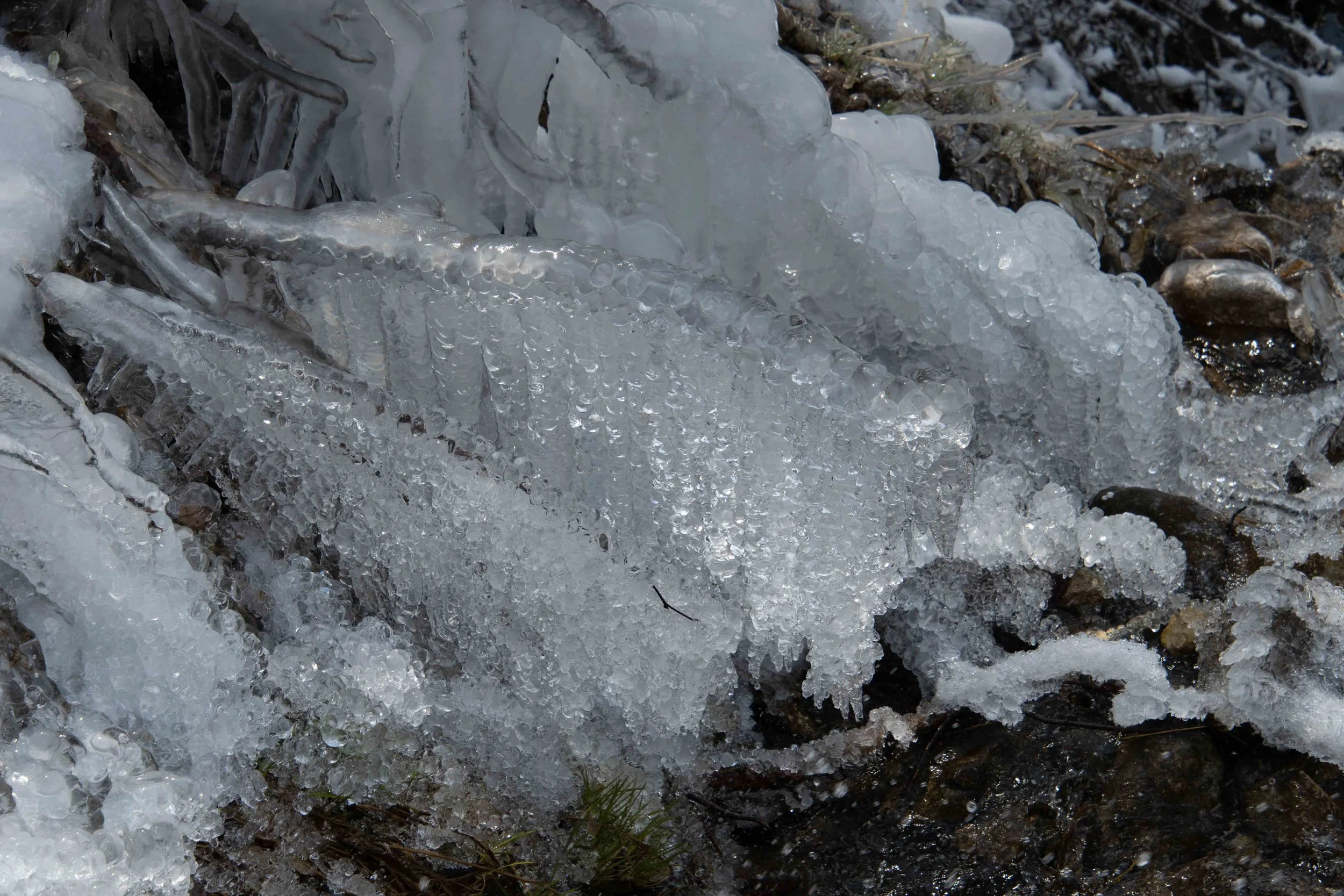 Glace formée sur des branches dans un environnement naturel, avec des textures de cristaux irréguliers.