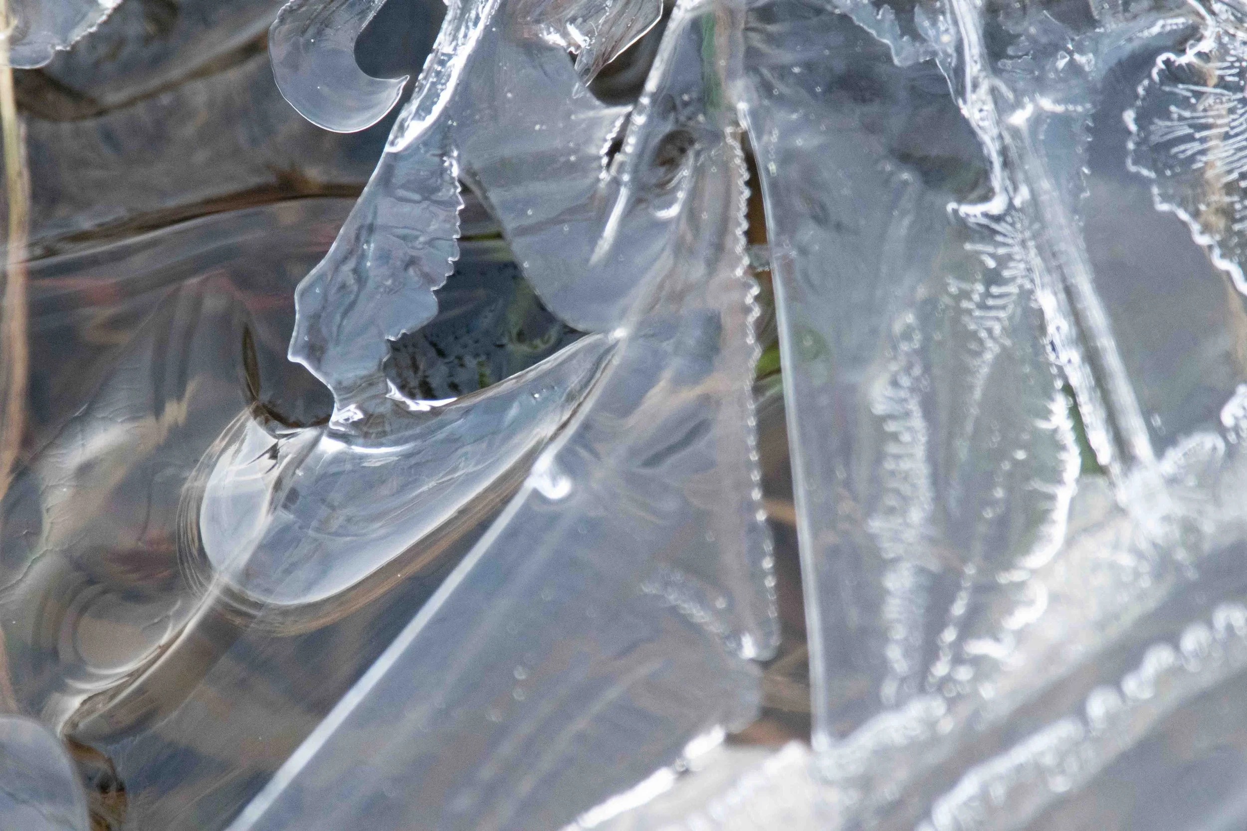 Formation de glace avec des motifs naturels.