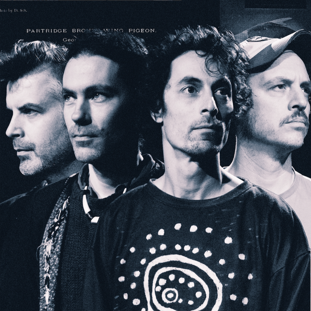 Echoes of Zoo