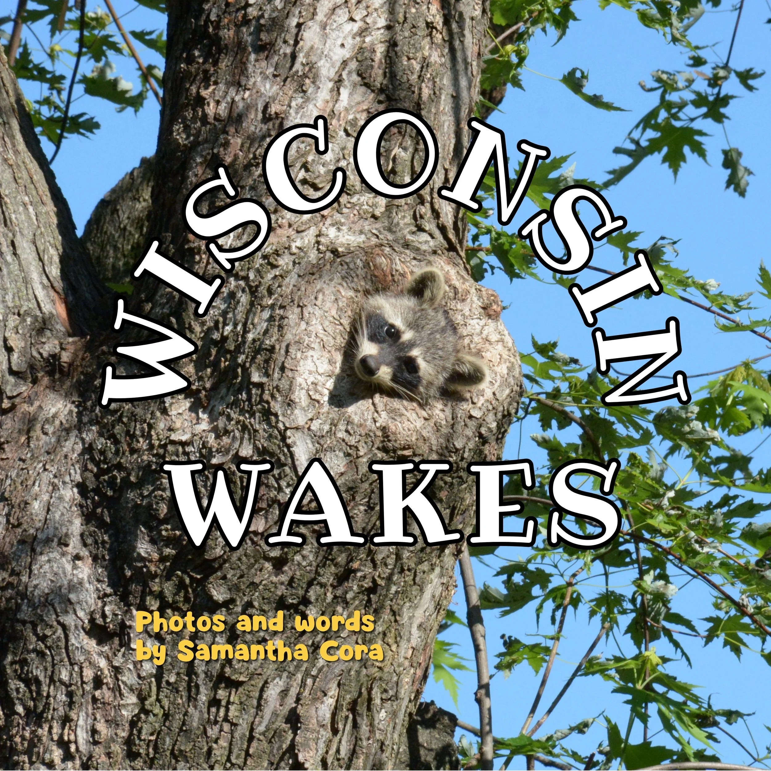 Wisconsin Wakes (Mini Photo Book Collection)