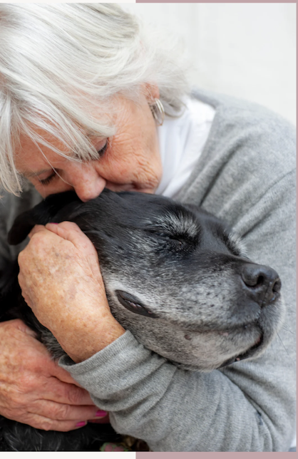 Gray haired woman holding old black lab with gray muzzle grieving