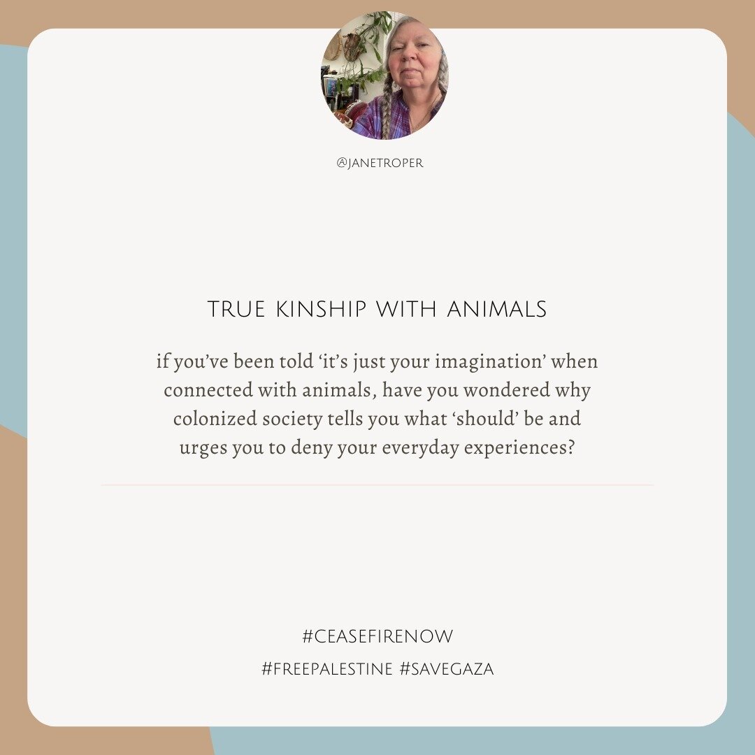 It's not *just your imagination*. Our animistic connection with animals is way deeper than colonized society would have you believe.