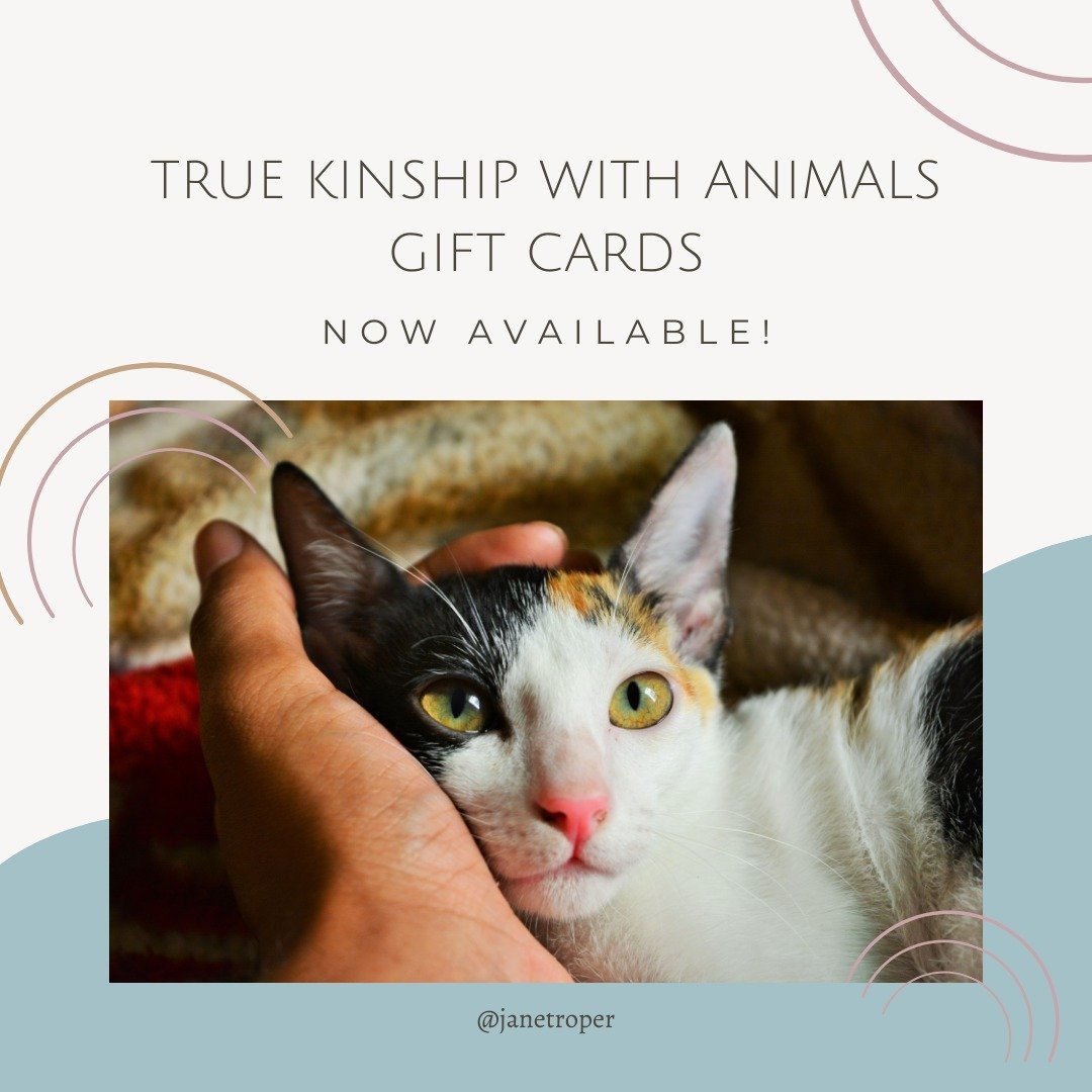 For that animal loving person in your life - surprise them with a gift card so they can hear the personal message their animal family wants them to know. THAT'S a gift that will be long remembered and much cherished. Cards are now available in the st