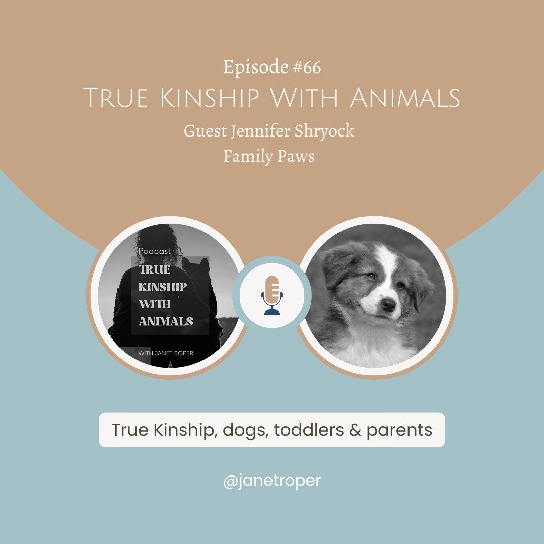 Got a dog and toddler? Listen to episode 66 of #TrueKinshipWithAnimalsPodcast and hear what guest @familypaws123 Jennifer Shryock recommends. Available on your favorite podcast platform.

#animal communicator #animalcommunication #truekinshipwithanim