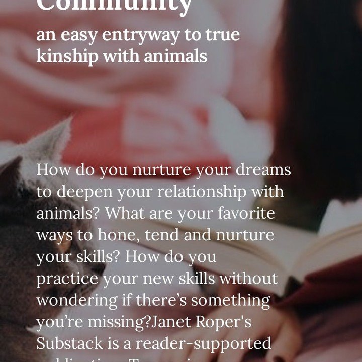 The subscription program Kindred is a gentle and easy way to begin your true kinship with animals journey. As far as I know it's a one of a kind program. Believe me, if Kindred had been around when I began my journey, I would have snapped it up in a 