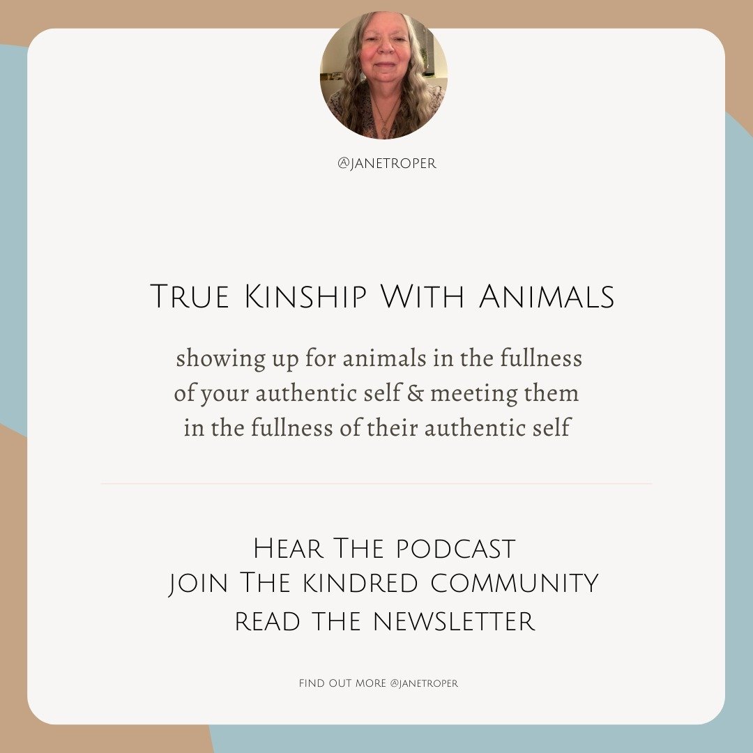 #animal communicator #animalcommunication #agency #animism #colonization #capitalism #settlerculture #truekinshipwithanimals #animallover #petsathome