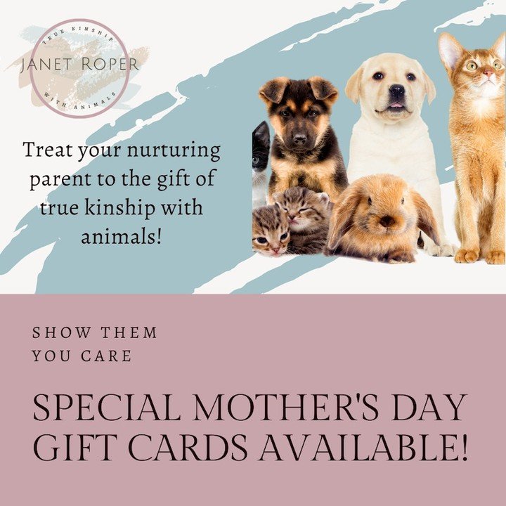 Give the gift of true kinship with animals with a gift card! Starting at $25USD Good for merch as well as 1:1 sessions 

#animal communicator #animalcommunication #agency #animism #truekinshipwithanimals #animallover #petsathome #mothersdaygiftideas