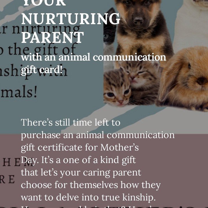 There's still time to get your nurturing parent the gift that keeps on giving - a true kinship with animals gift card. Novel and memorable the are good for merch as well as 1:1 sessions.

#animal communicator #animalcommunication #agency #animism #tr