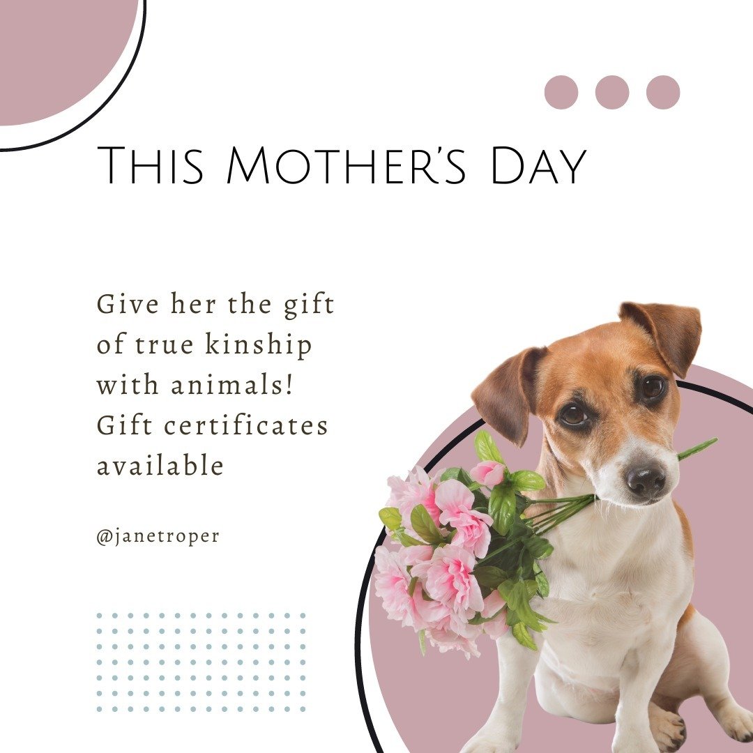 Surprise your nurturing parent with a true kinship with animals gift card! Not just for an animal communication session, they start at $25USD and can be used for the live group calls, Return of the Listeners audio book and the Beginning Animal Commun