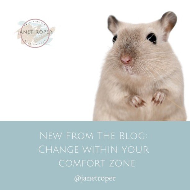 Instead of stepping outside of your comfort zone, what happens when you choose to navigate change inside your comfort zone? An option that is often disregarded. 

#animal communicator #animalcommunication #agency #animism #colonization #capitalism #s