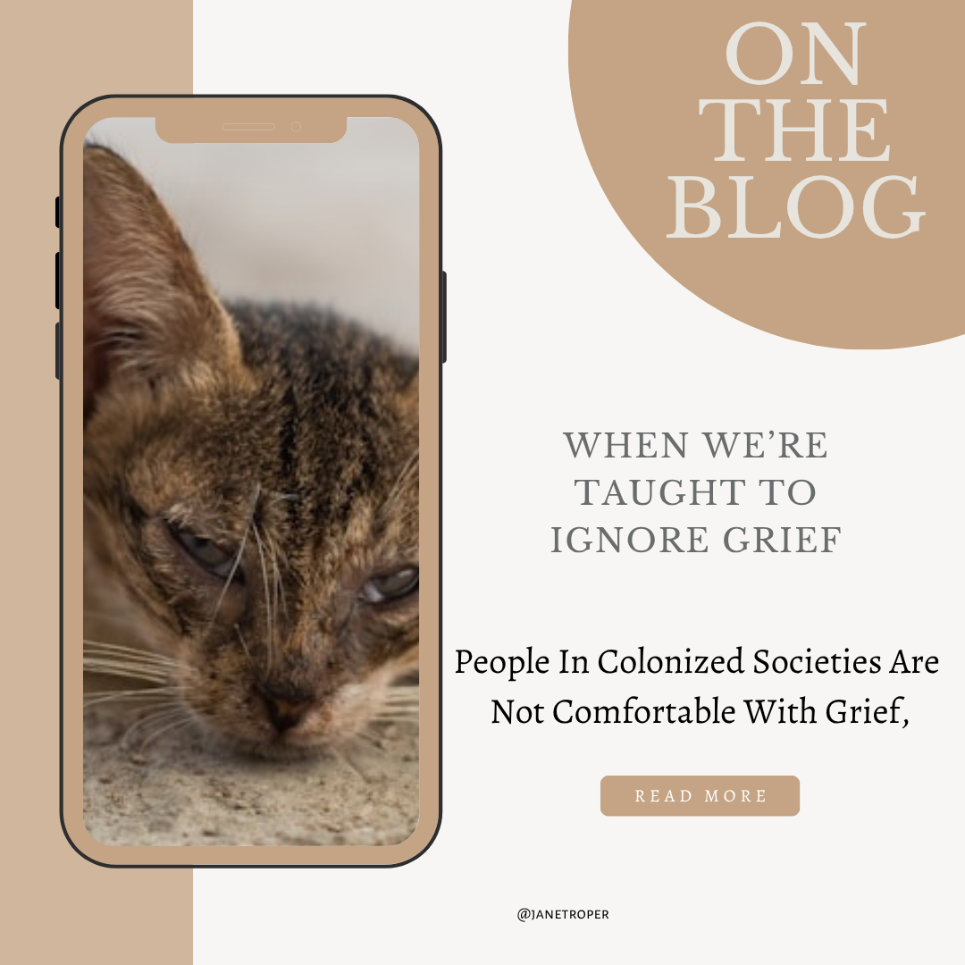 on the blog when we're taught to ignore grief pic of sick cat on iphone