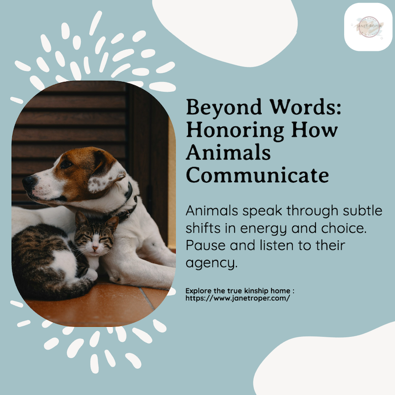 says beyond words: honoring how animals communicate. Animals speak through subtle shifts i energy and choice paulse and listen to their agency. explore true kinship with animals home. on blue background, pic of dog and kitten curled up