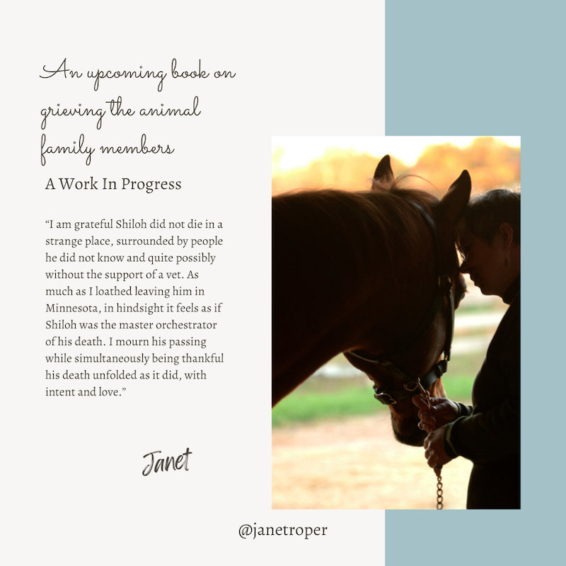 Shiloh's death unfoldedPost.png