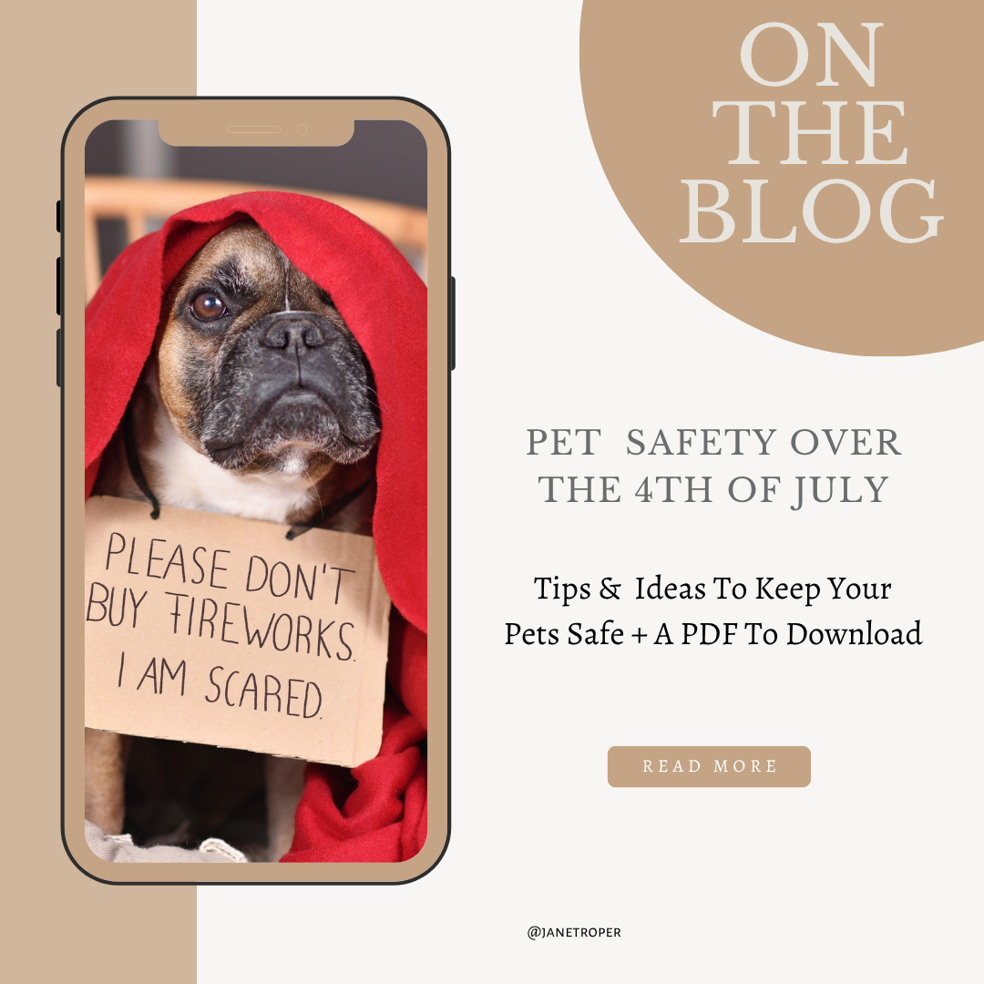 pug covered with red cloth holding sign saying please don't buy fireworks i am scared