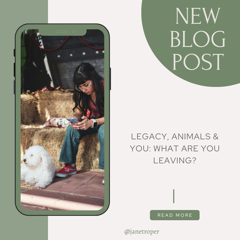 woman sitting on stair looking at phone, white dog at her feet