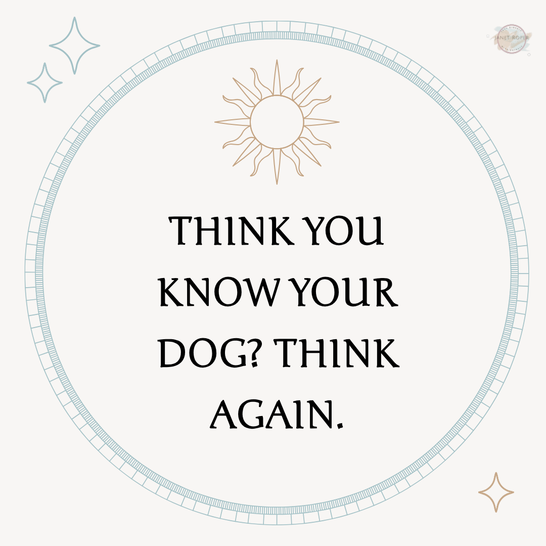 think you know your dog? think again