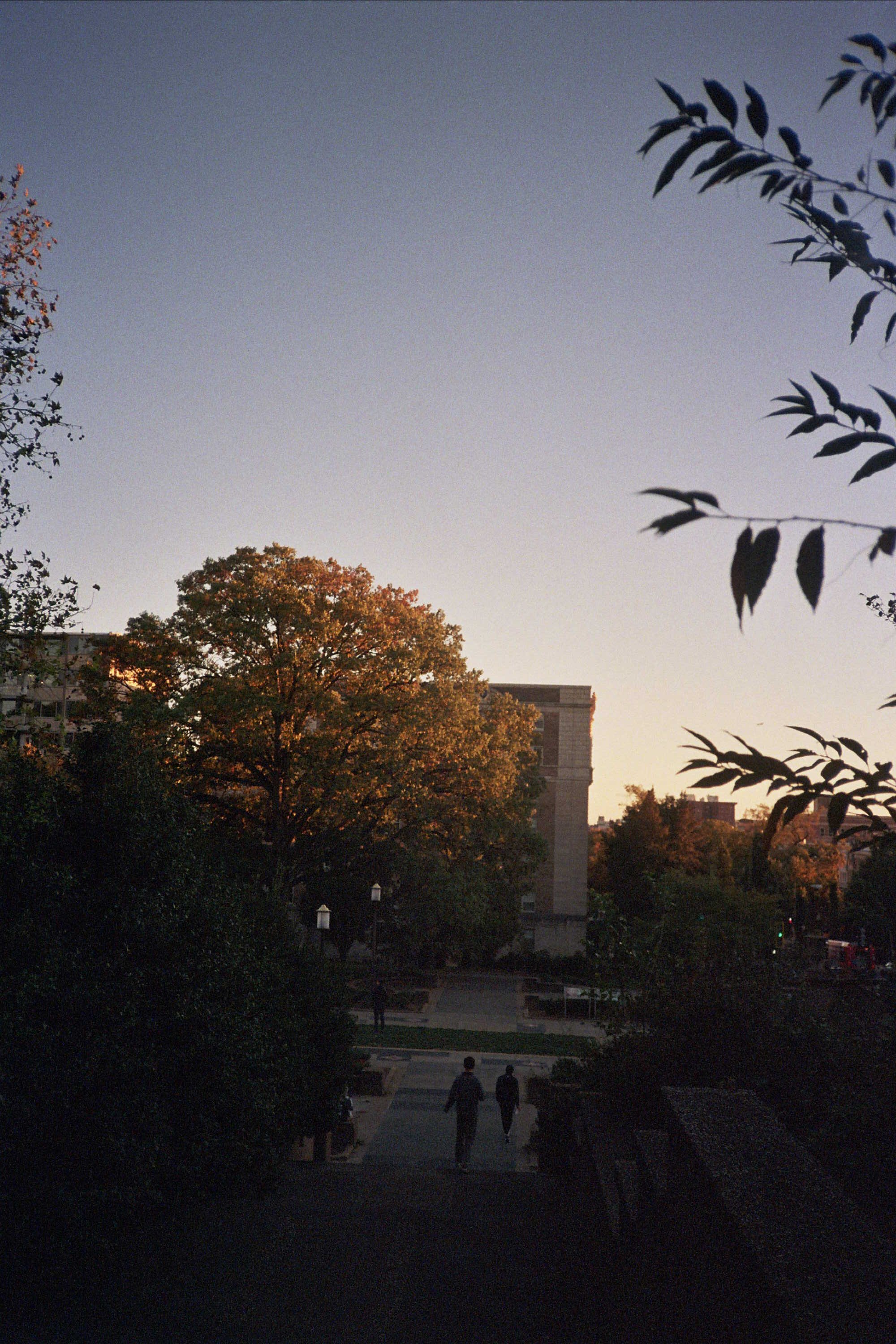 ---_0592.jpg